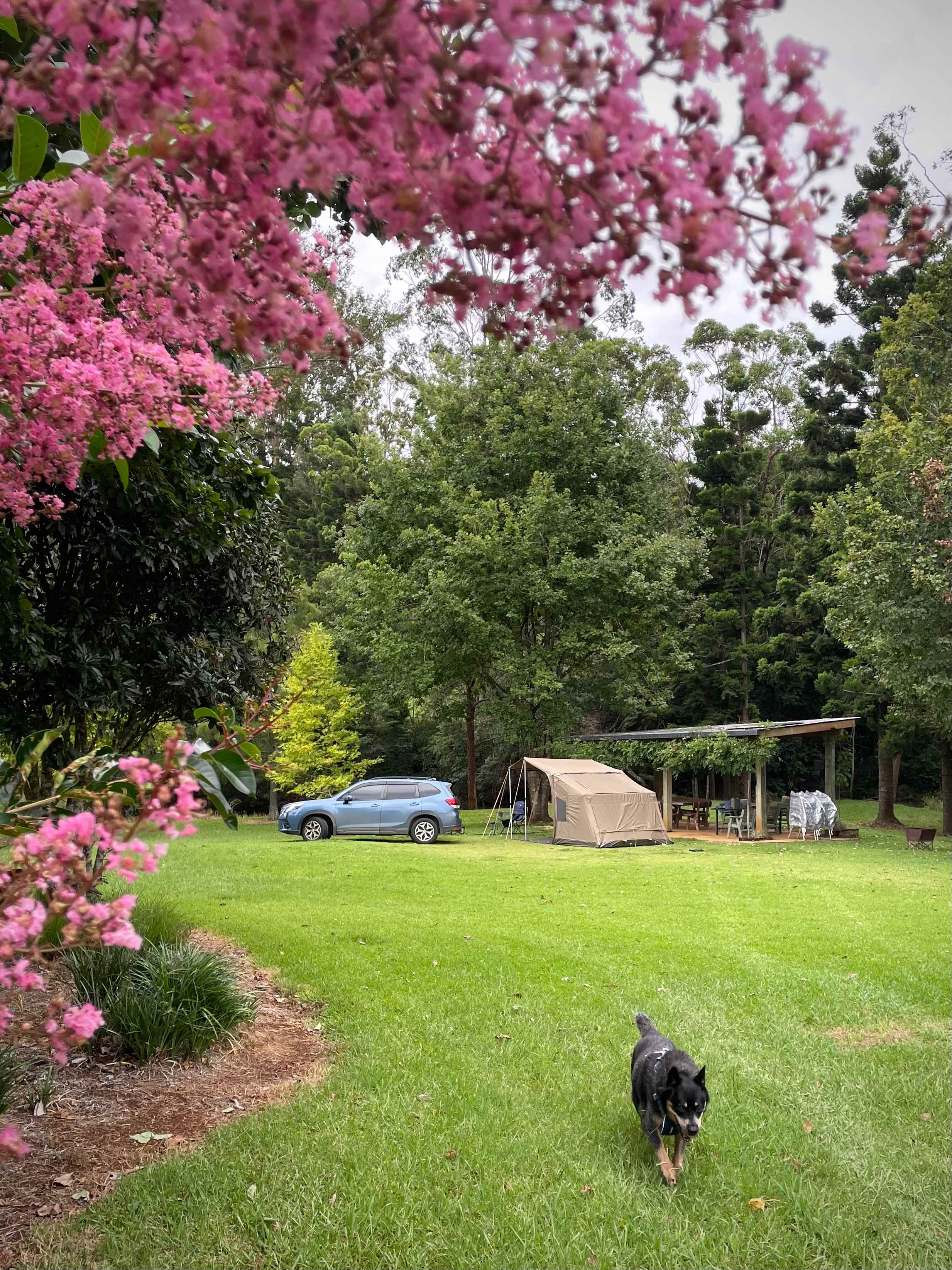 Parkers Place Gardens