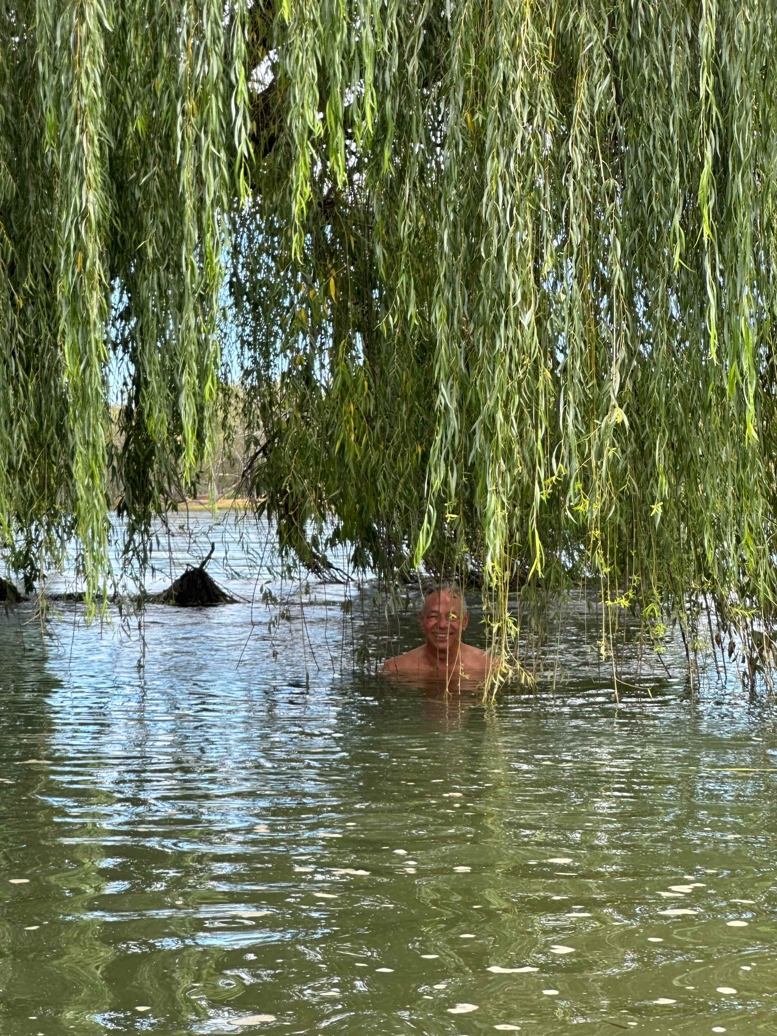 Swimming amongst the willow trees