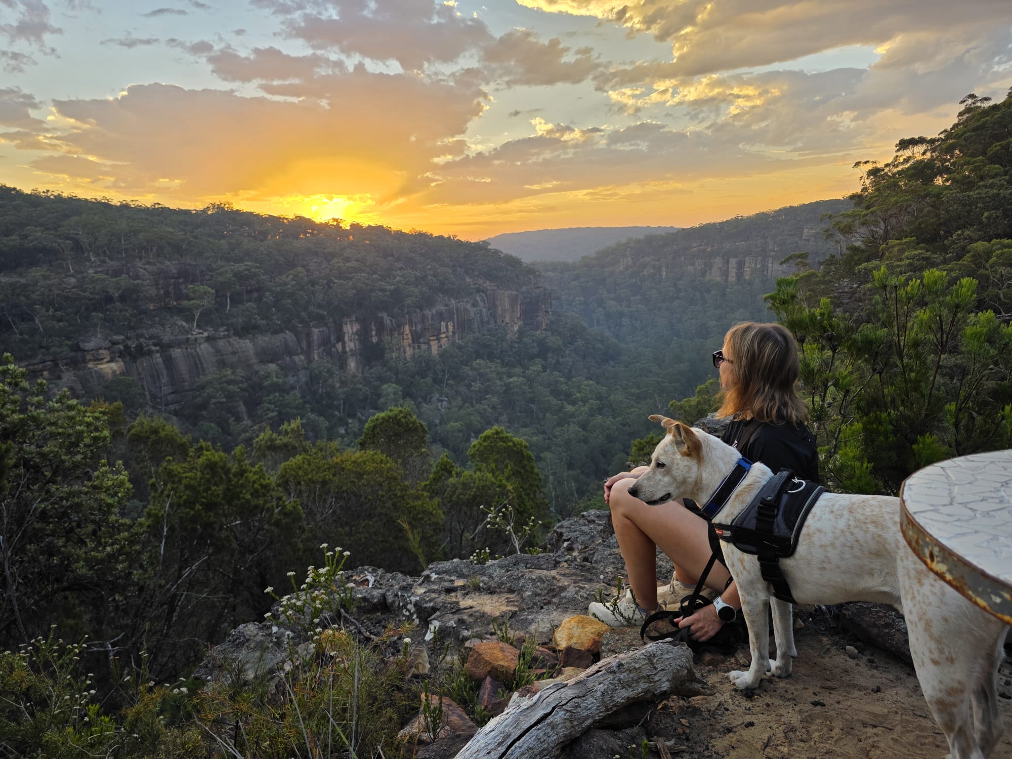 Joadja Gorge Retreat & Camping
