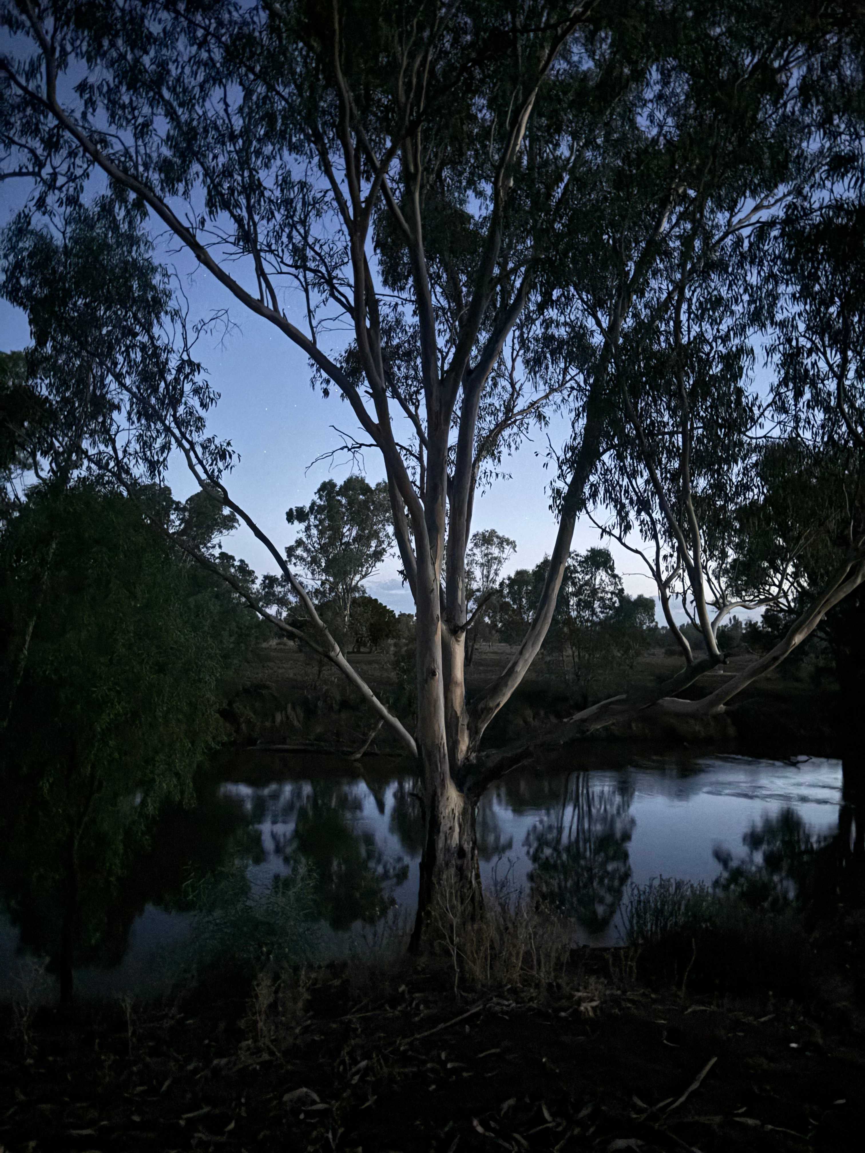 Just past full moon rising over the river