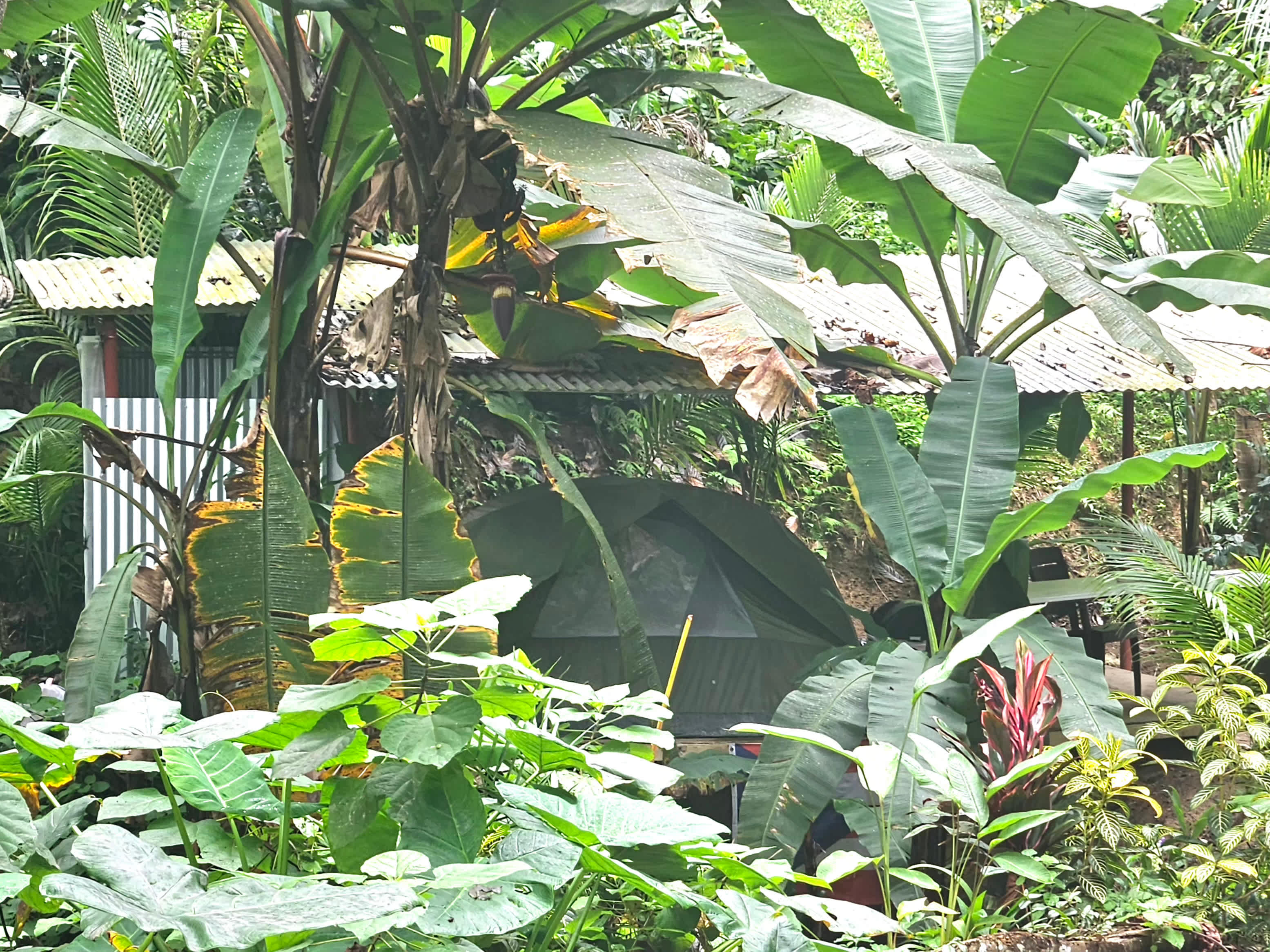 There's a tent in there.