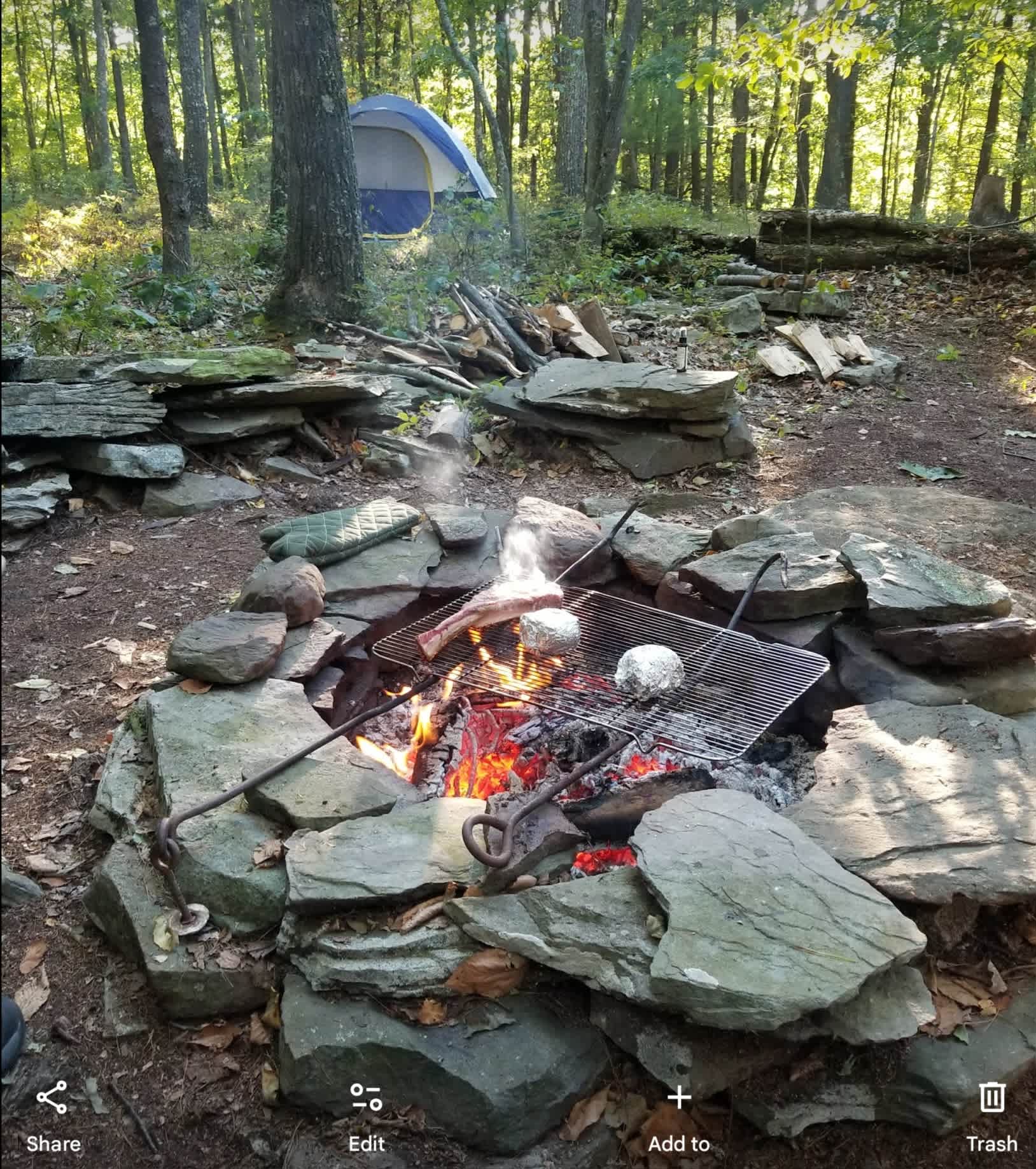 Picture of the site