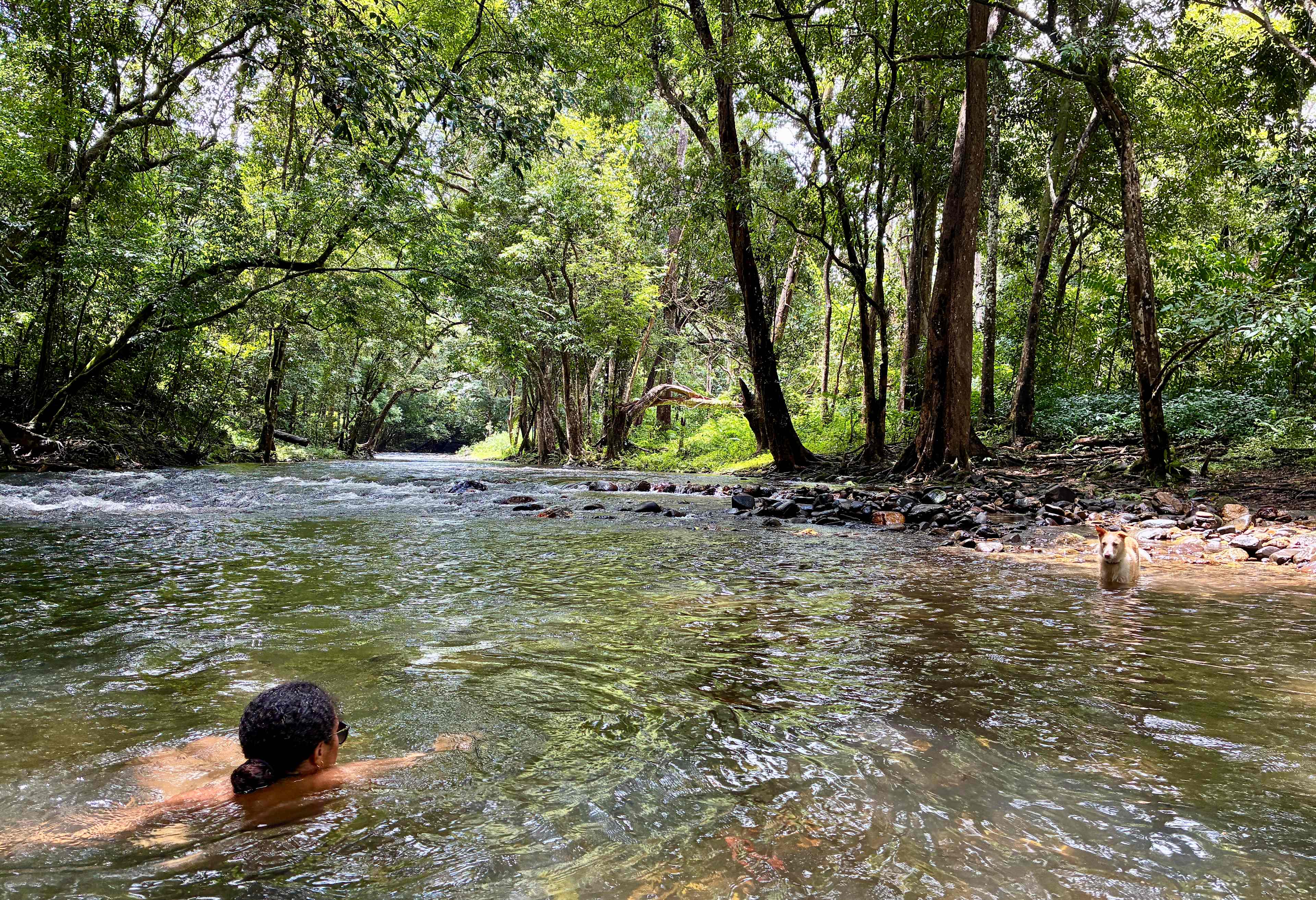 Little Mulgrave Holiday Camping