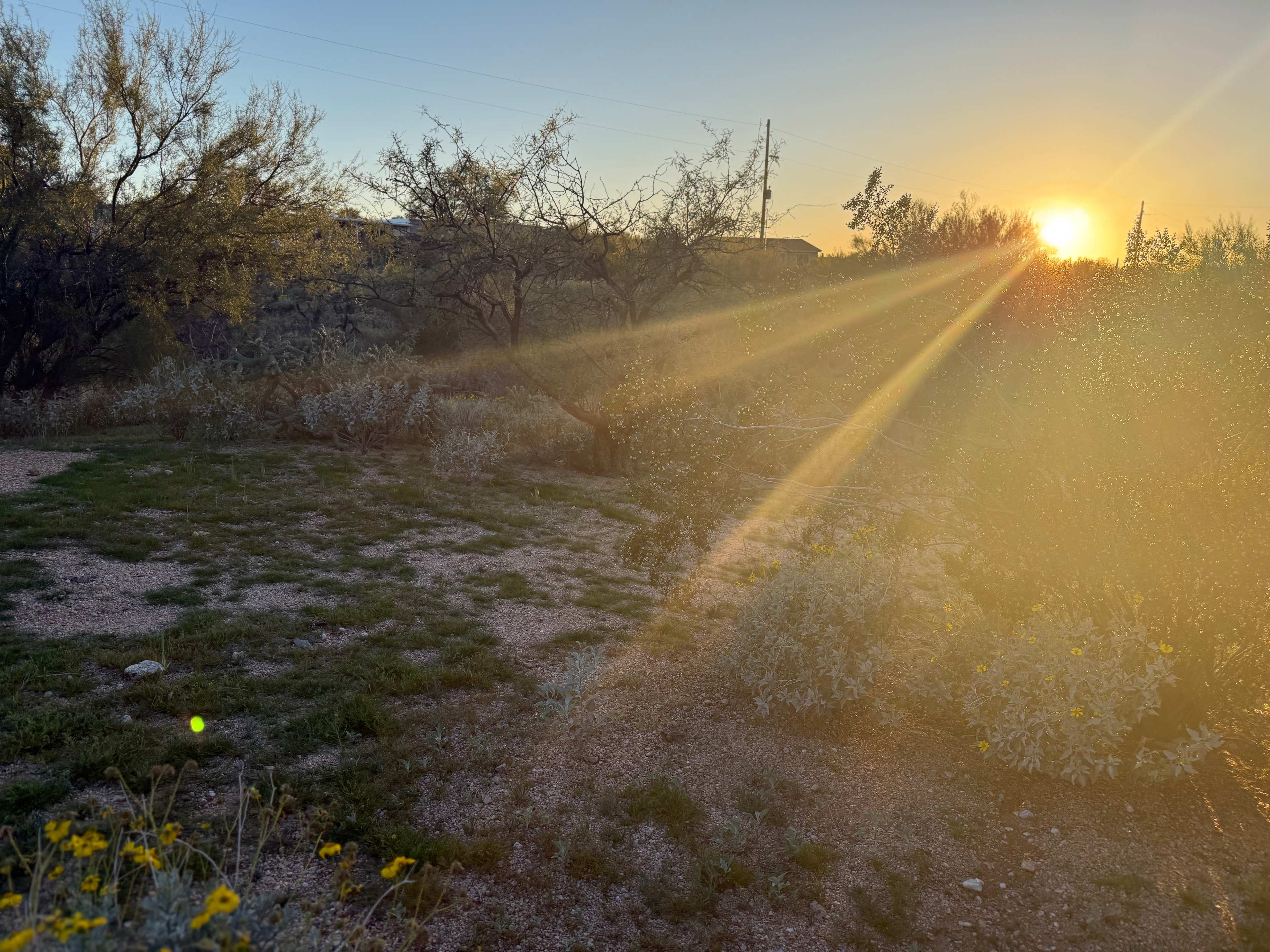 The Mountain View Spot!