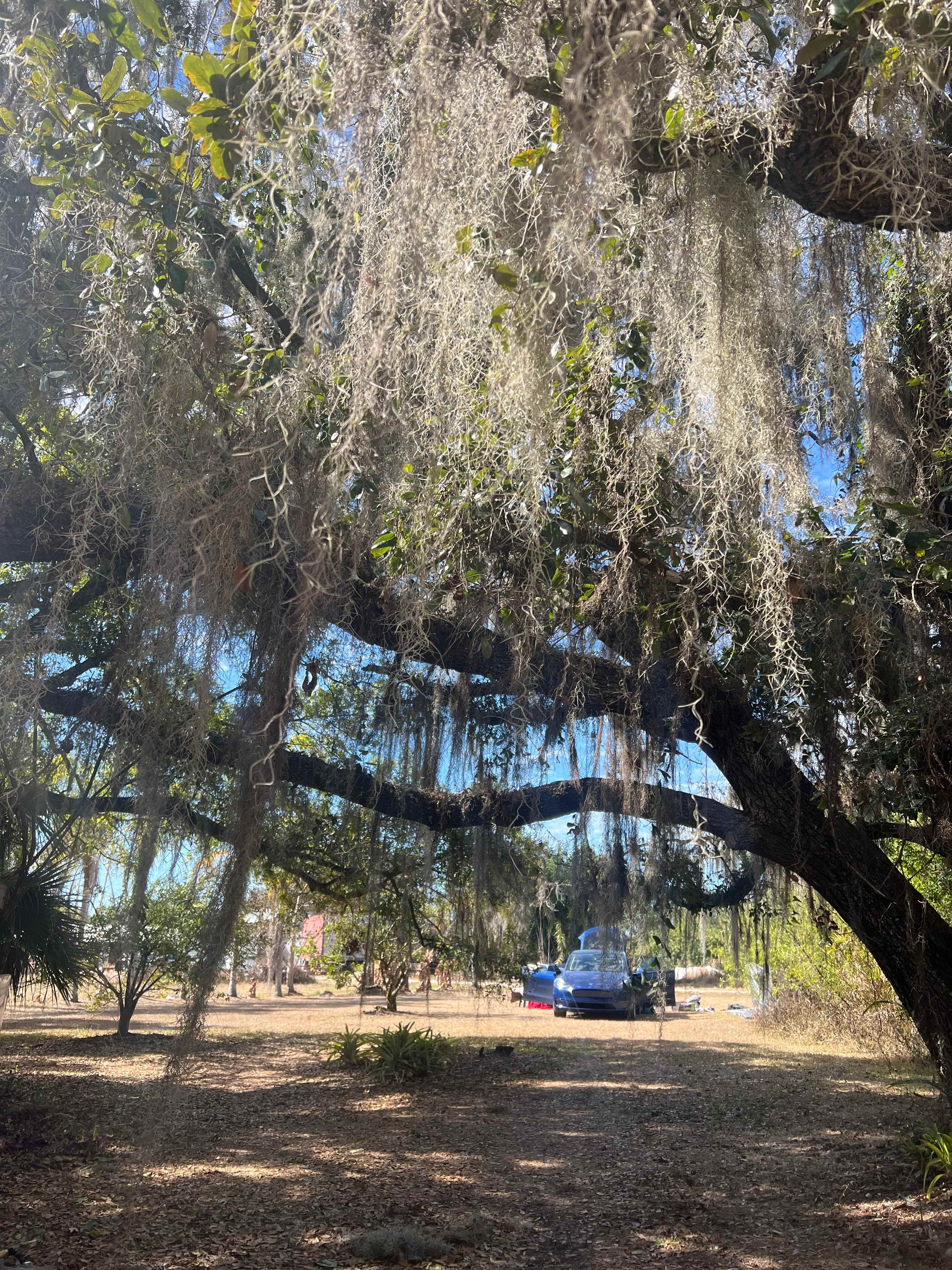 Magical Pond On Flitterbug Farm