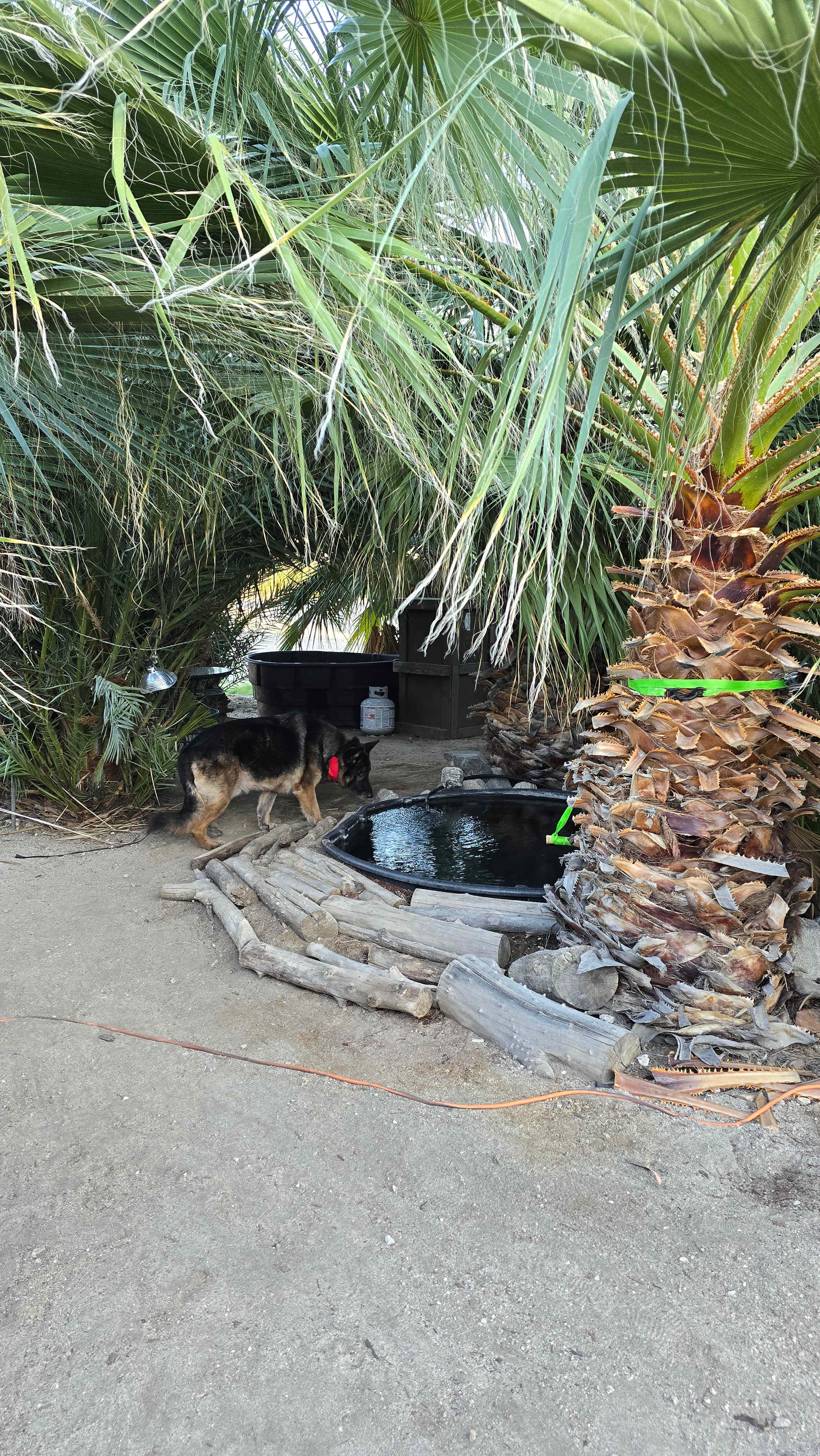 Mineral Spring Date Farm