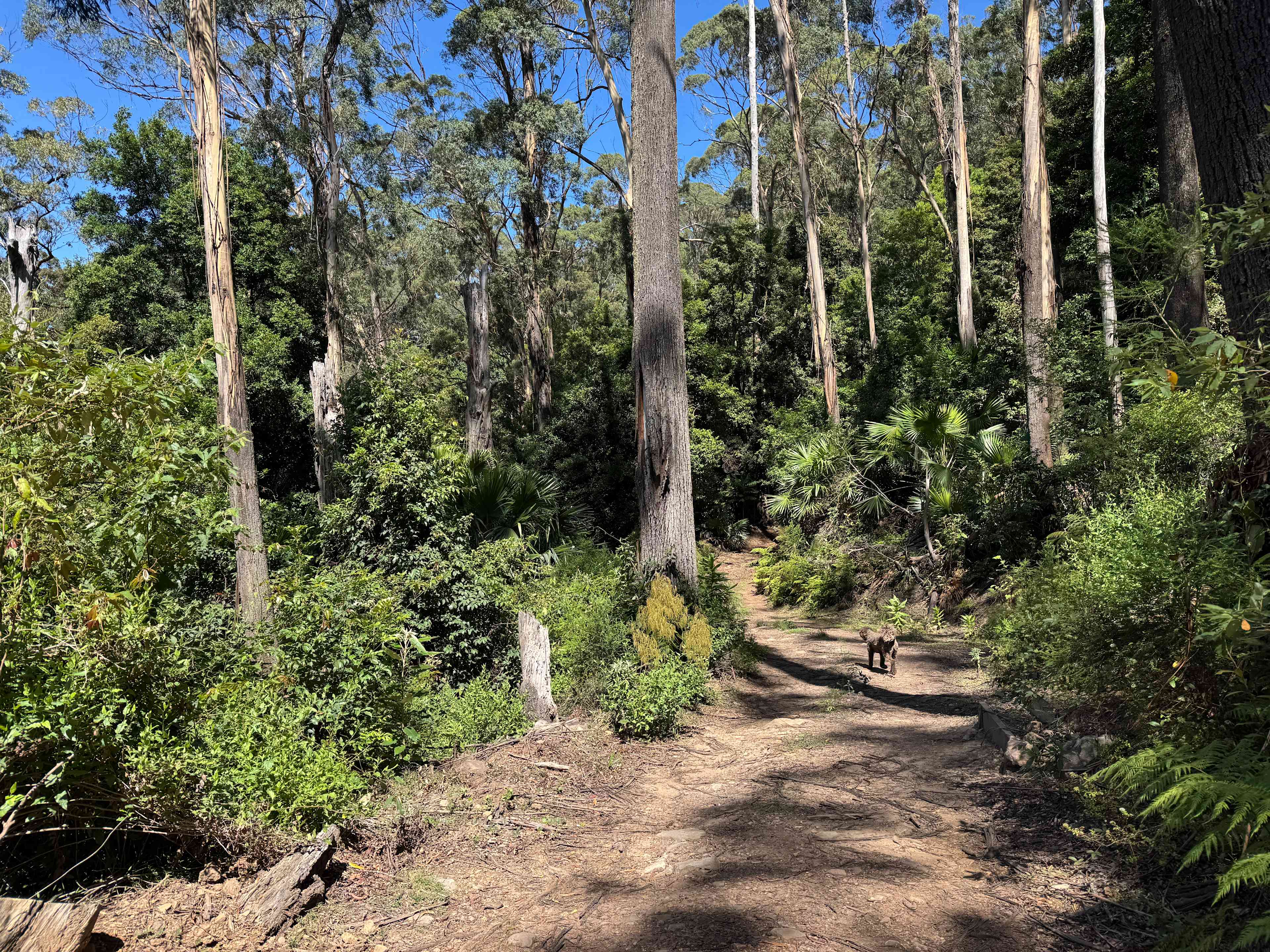 Beautiful hike around the property 