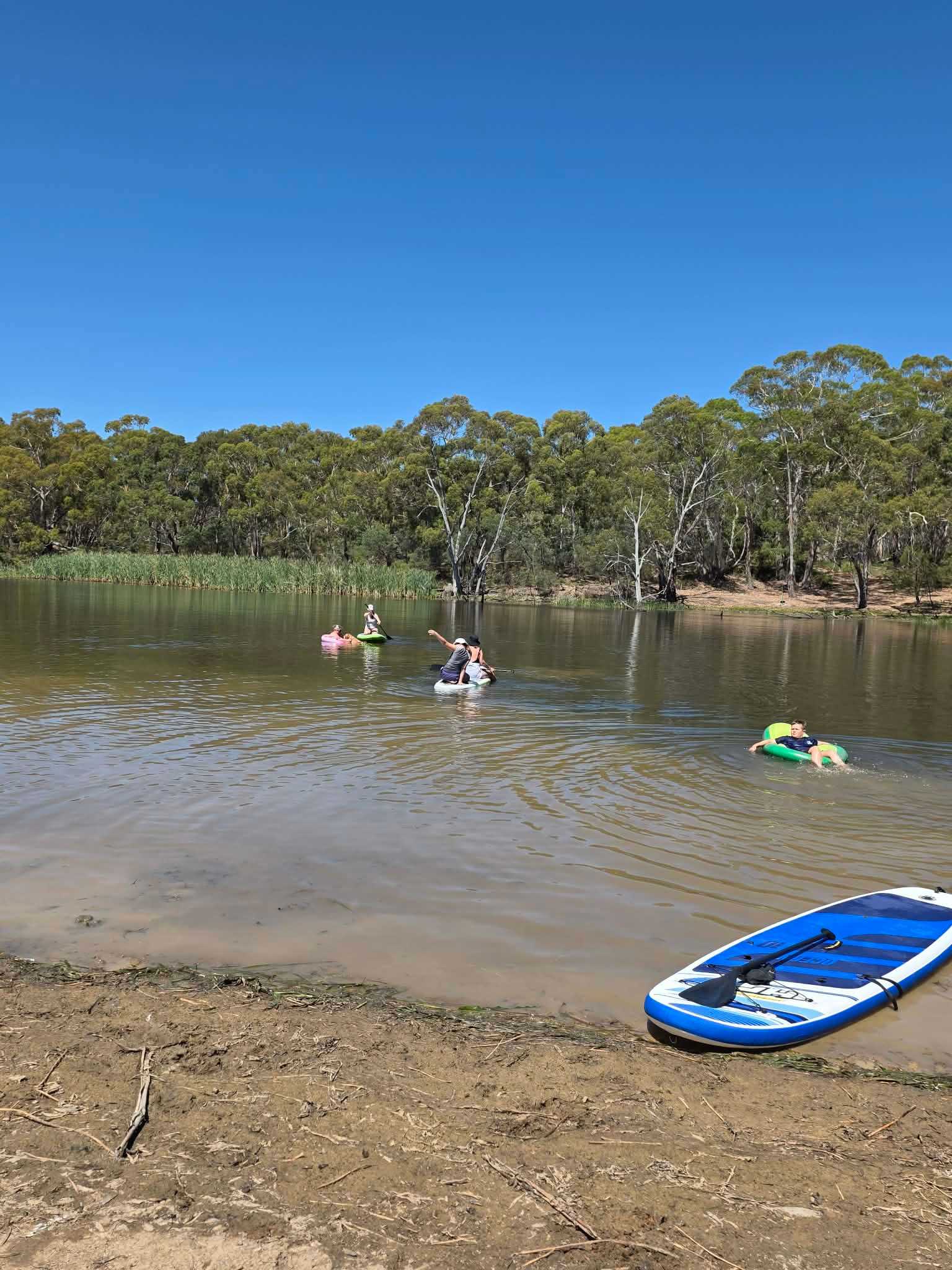 Lancefield Lake's A WETLANDS WONDER