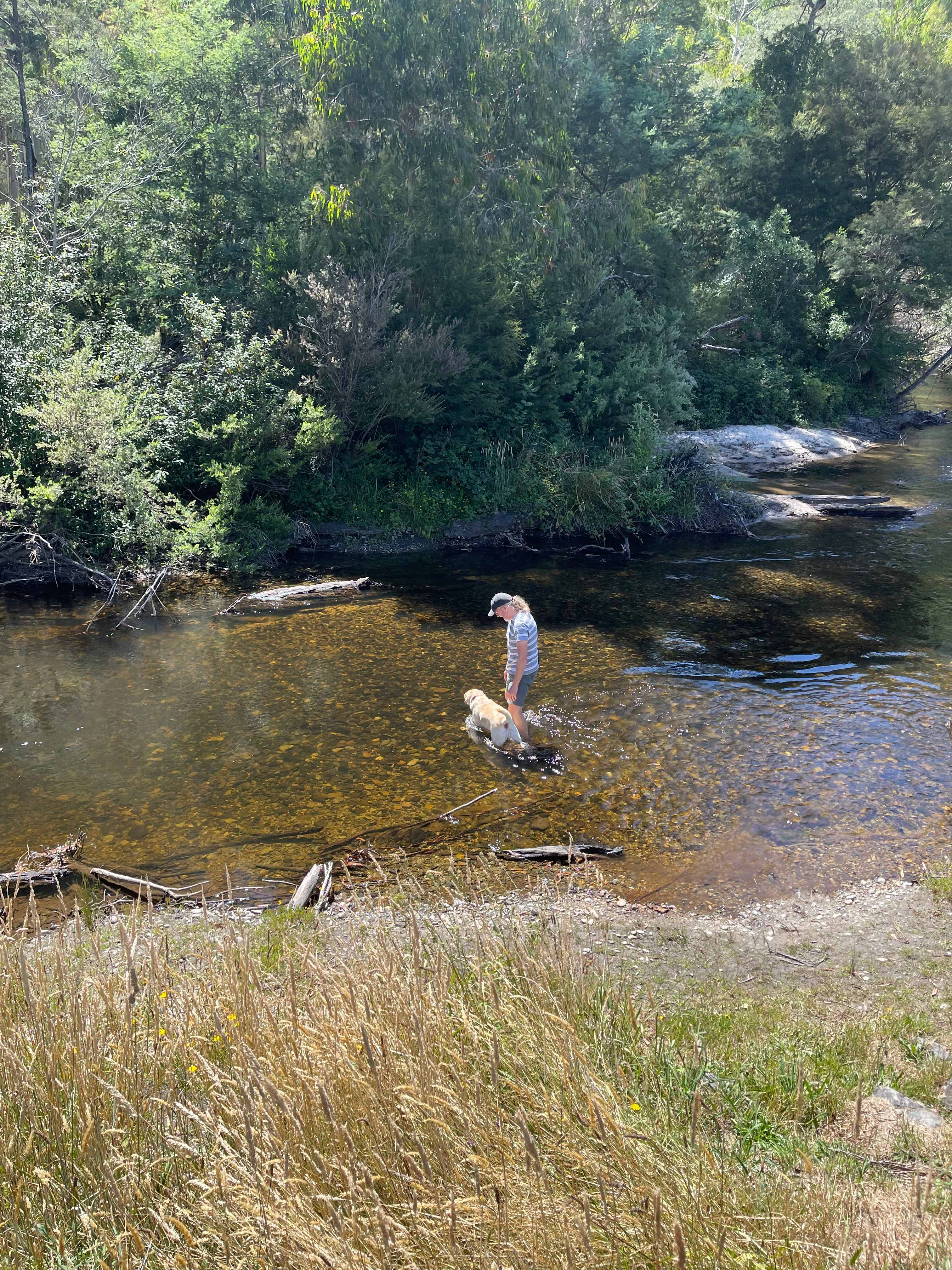 Hazelnut Valley Farm Stay