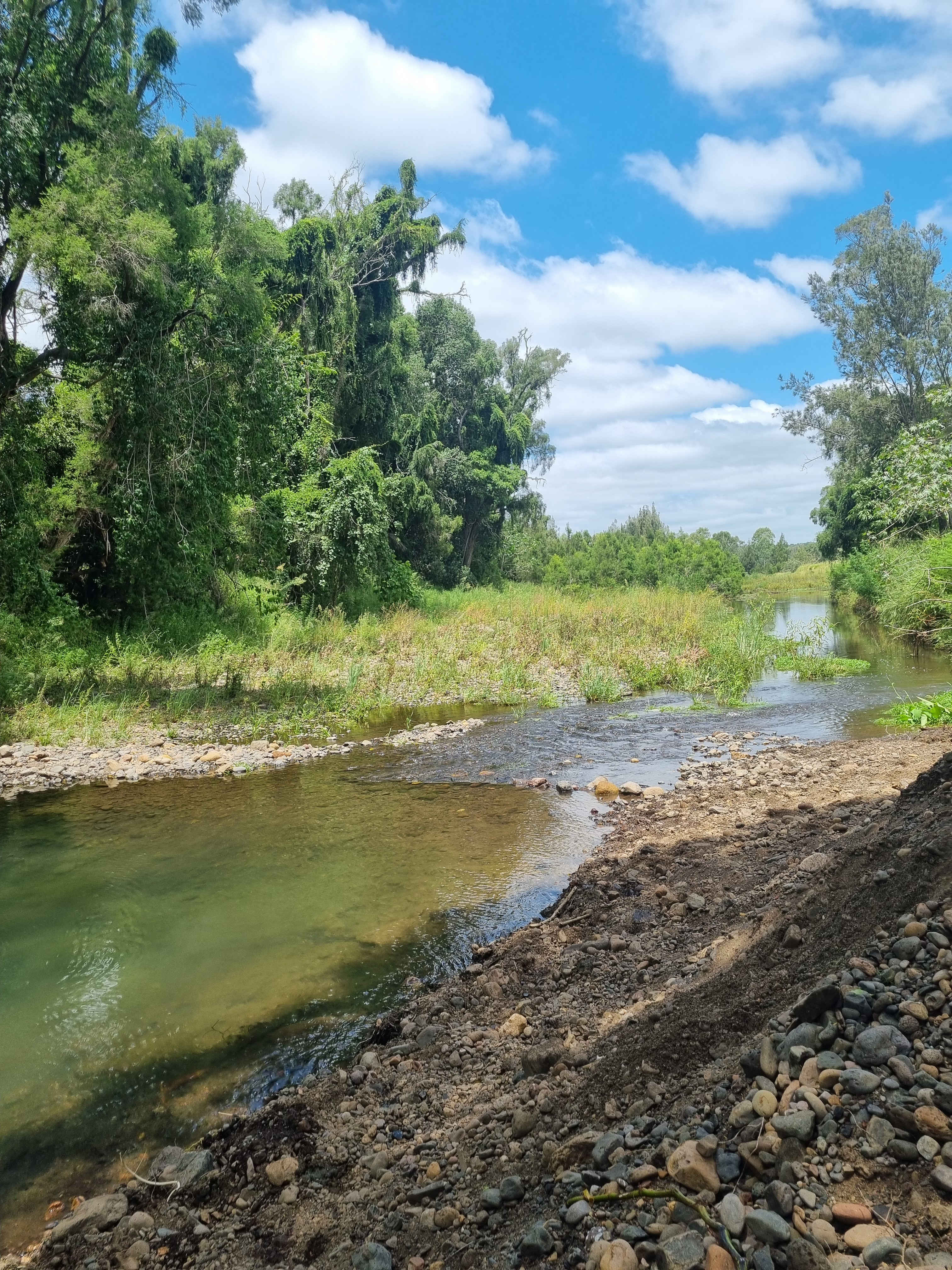 Warrill Creek Camping
