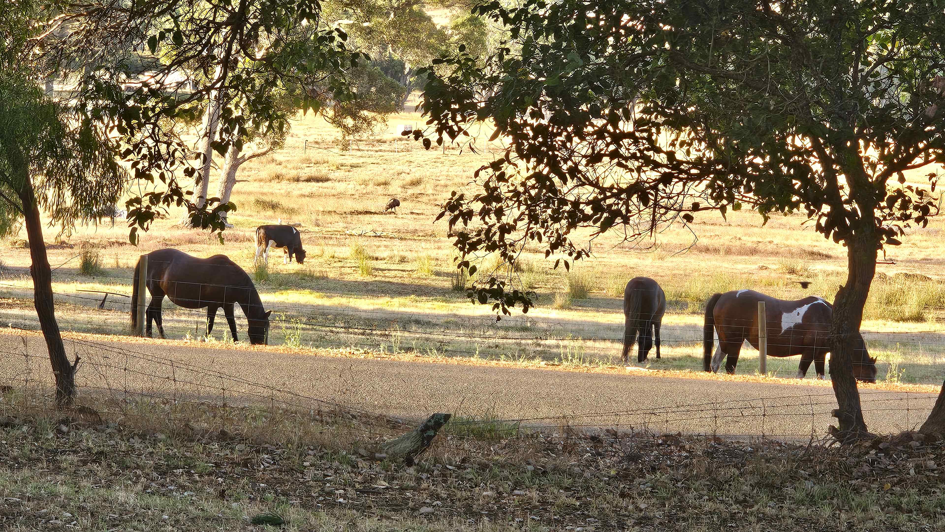 Green Valley Farm Stay