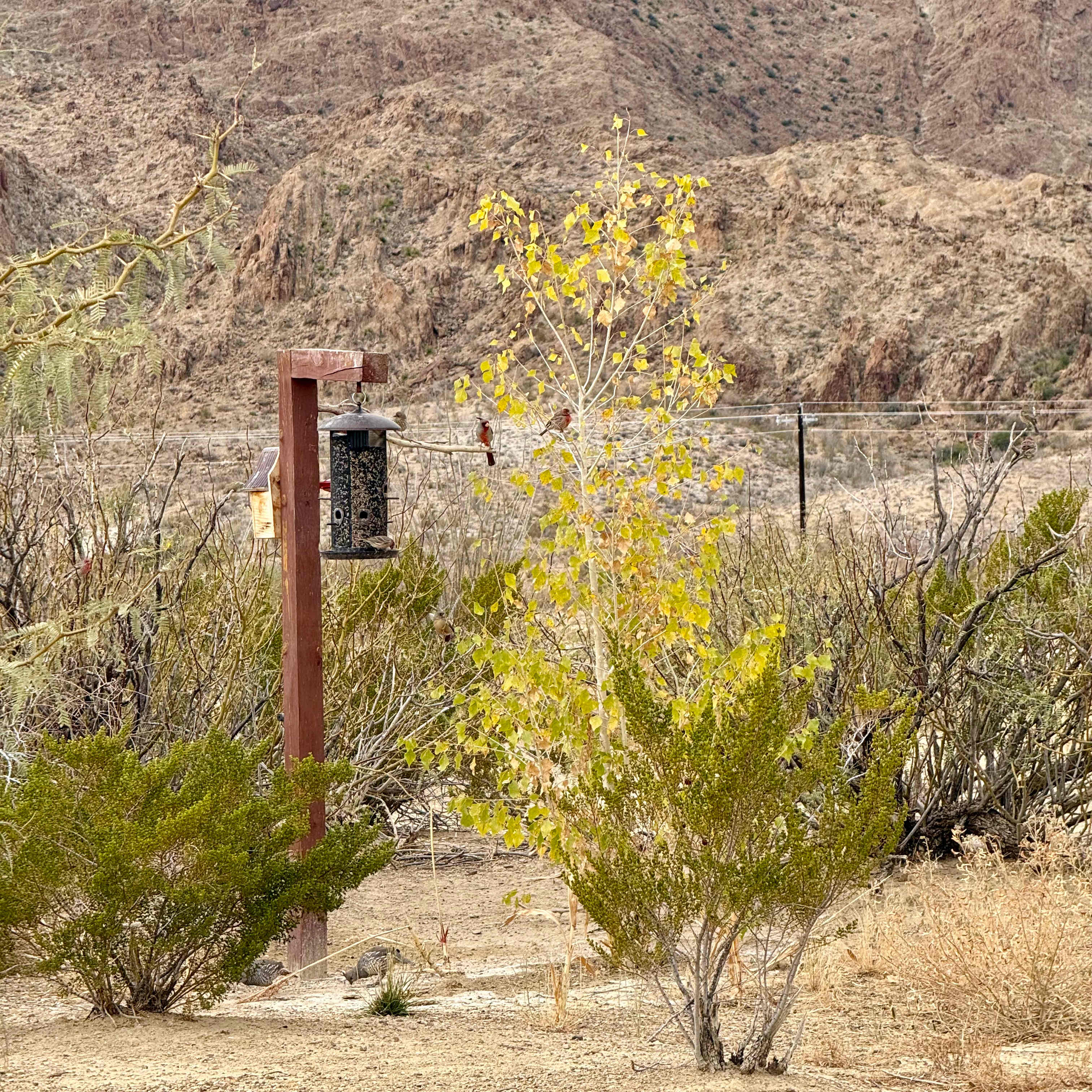 Willow Creek Camping Company