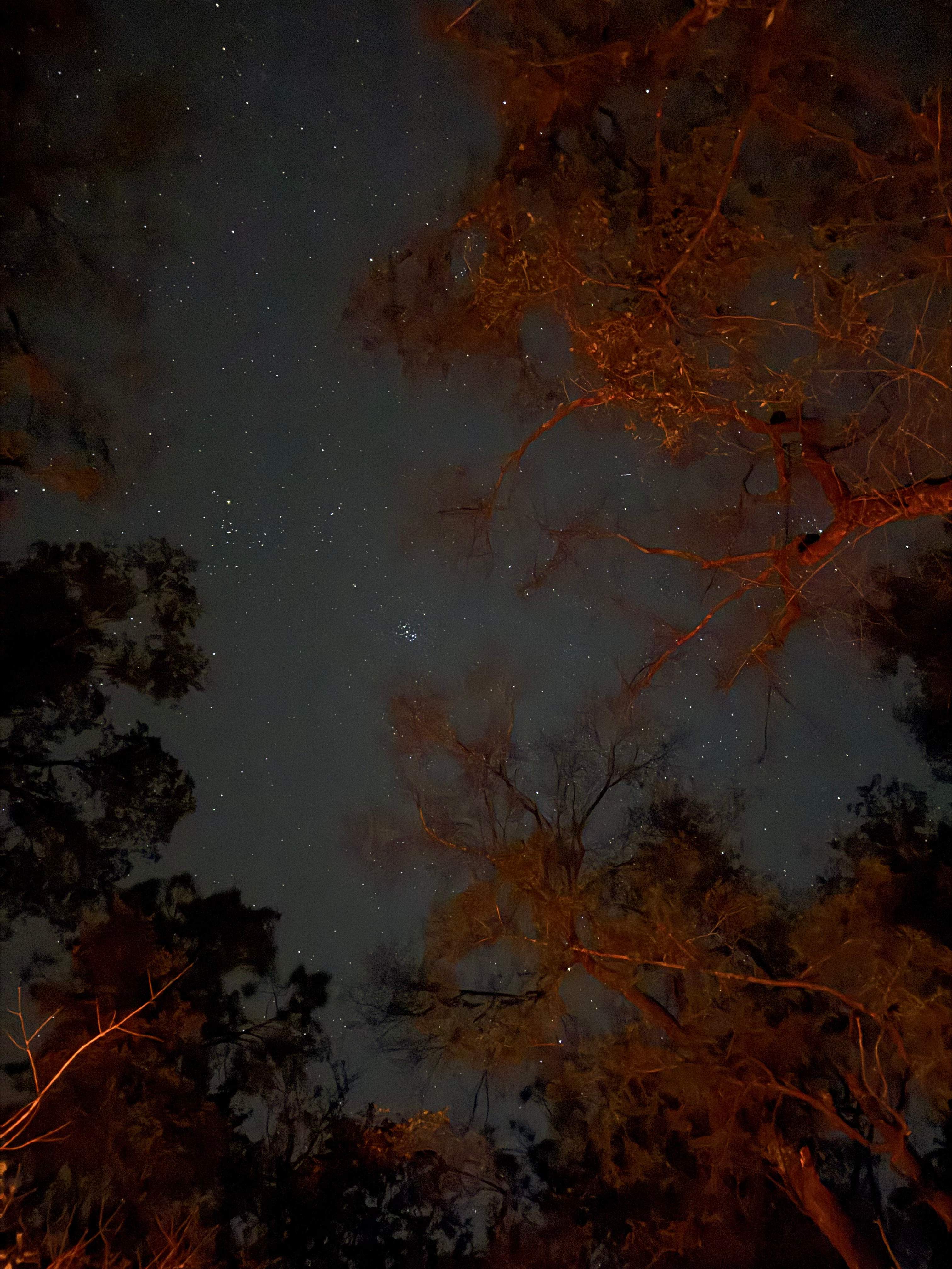 YaYa's River Retreat