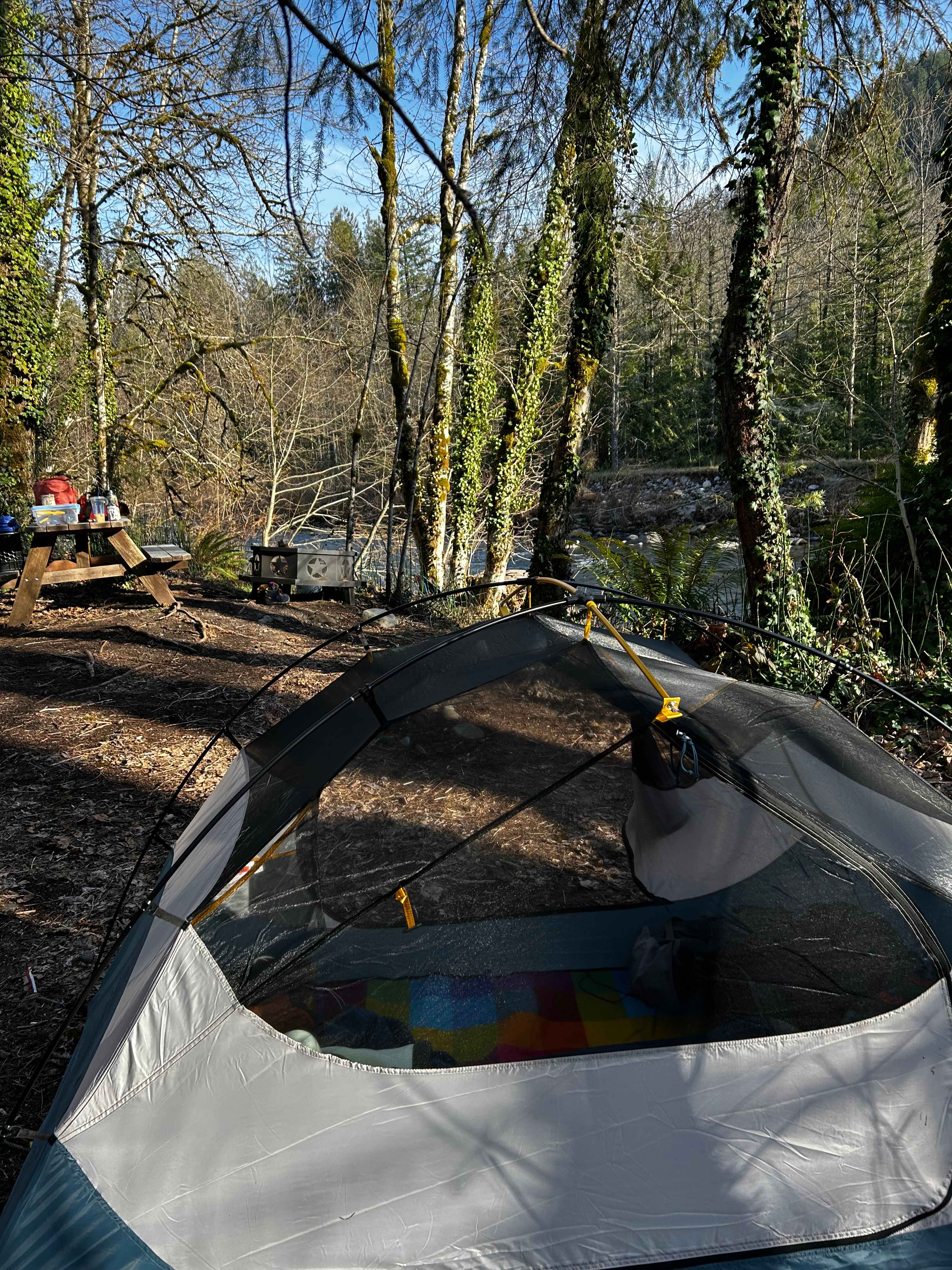 Mt. Hood Enchanted Forest