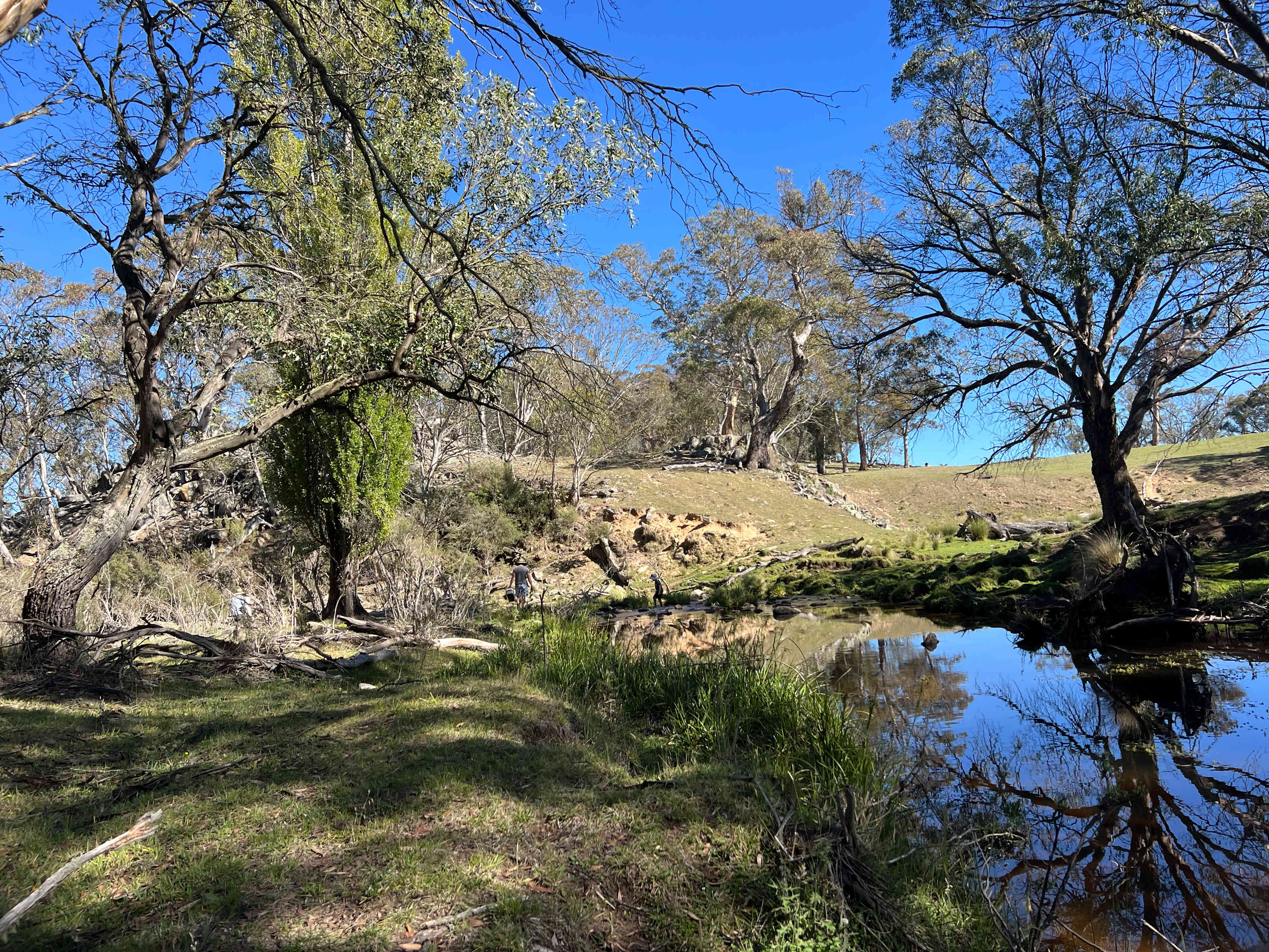 Kallarroo Farm, nr Nimmitabel