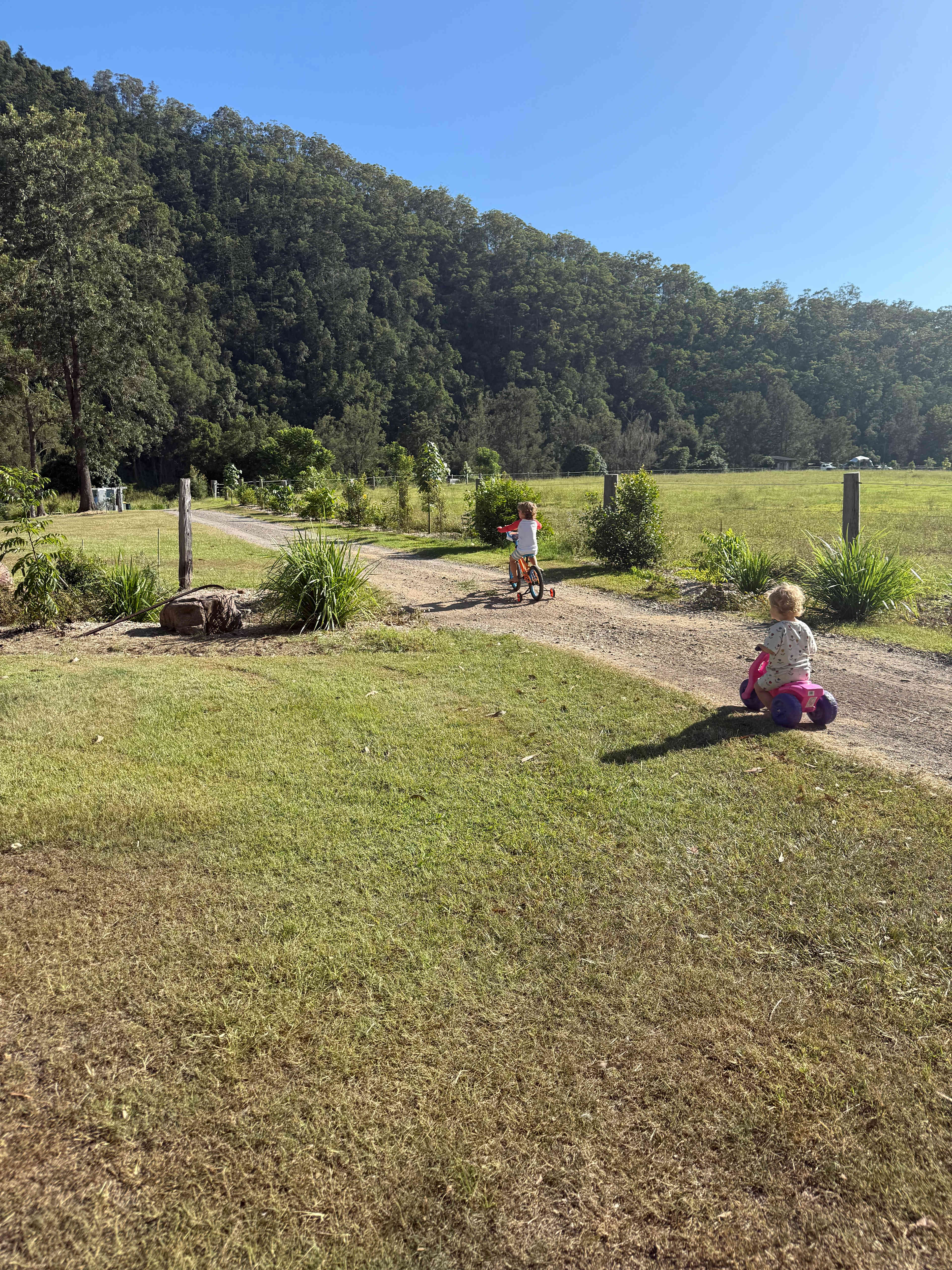 Yabba Creek Farm