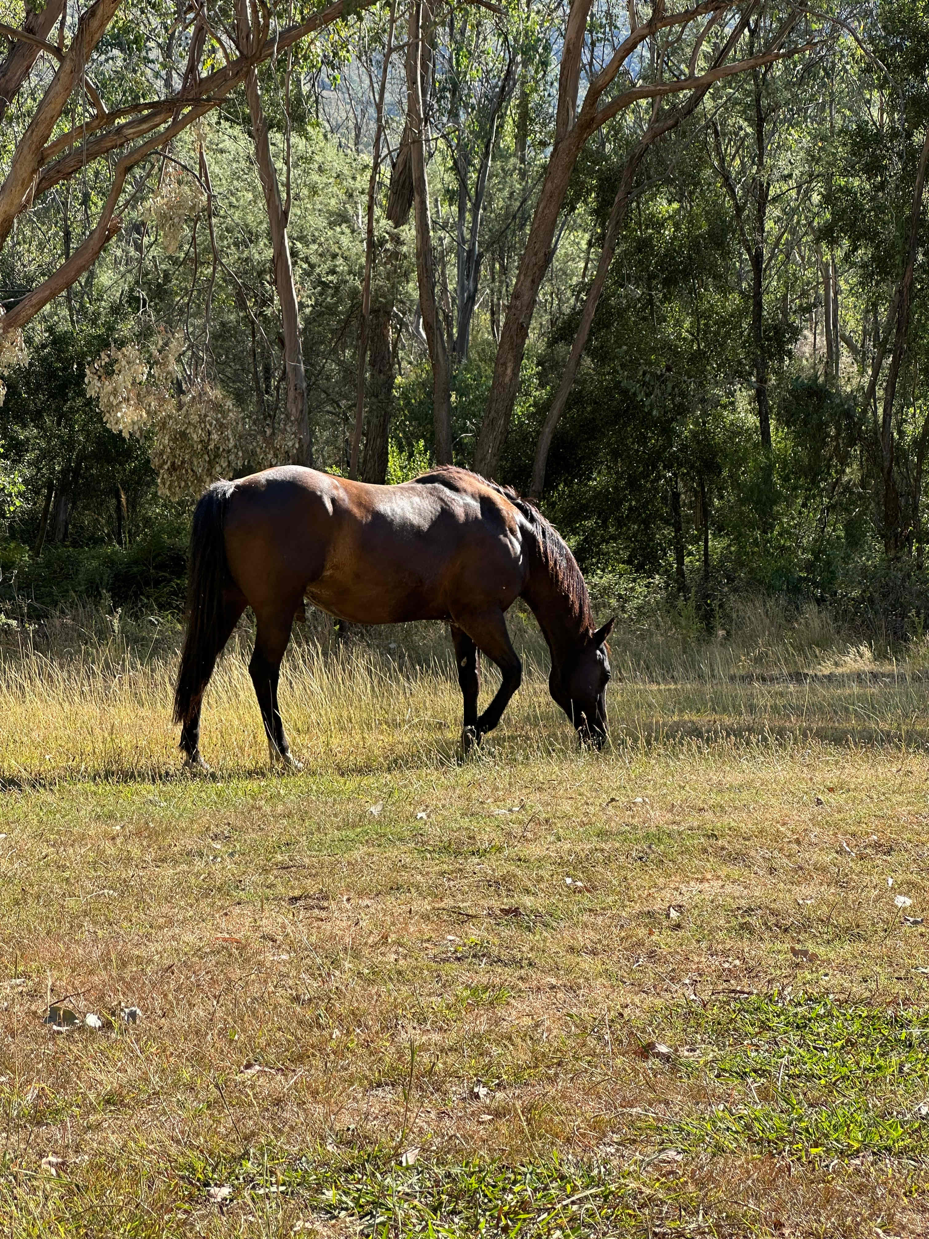 High Country Paradise