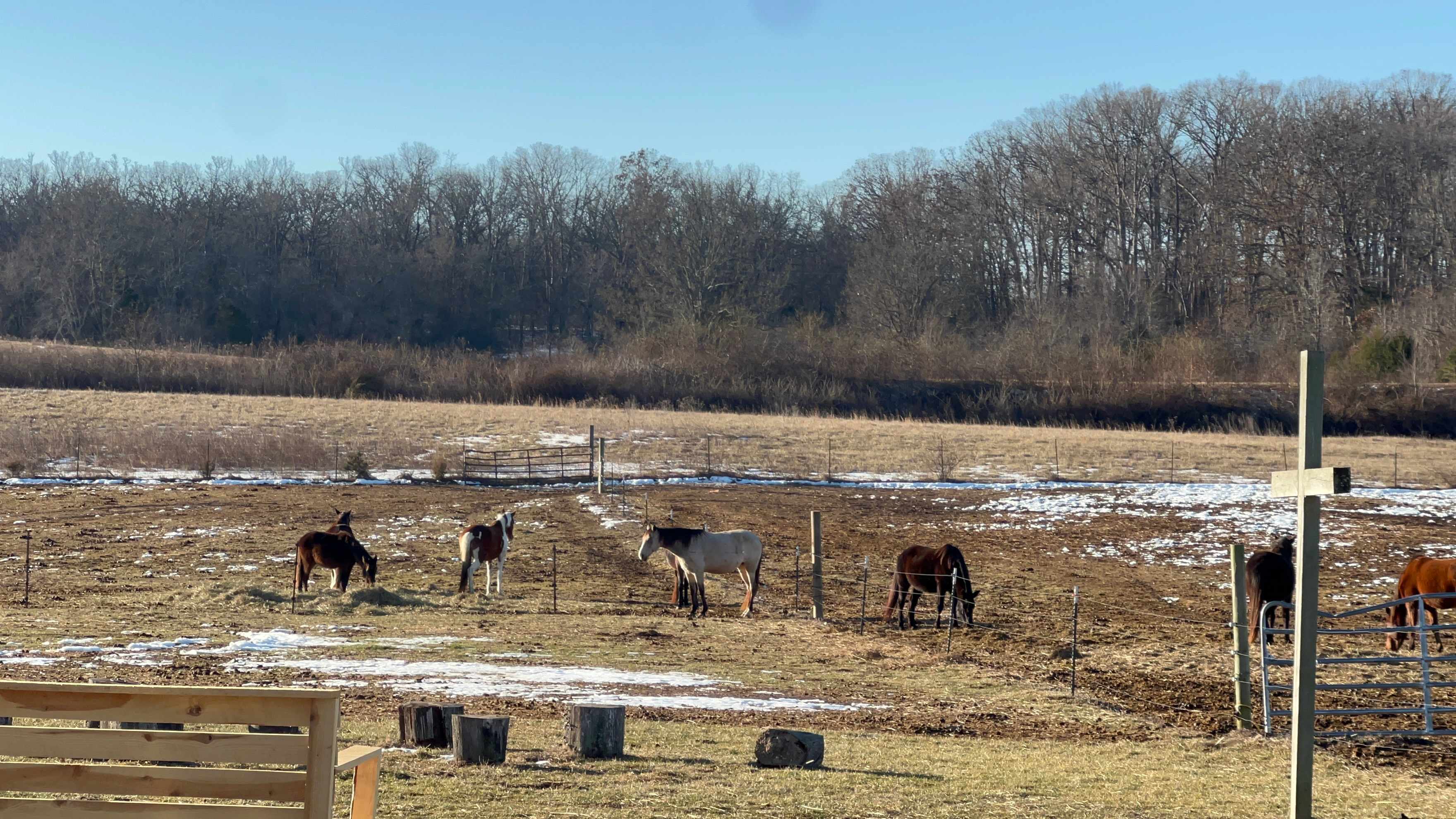 Delightful 1 bedroom peaceful tiny house