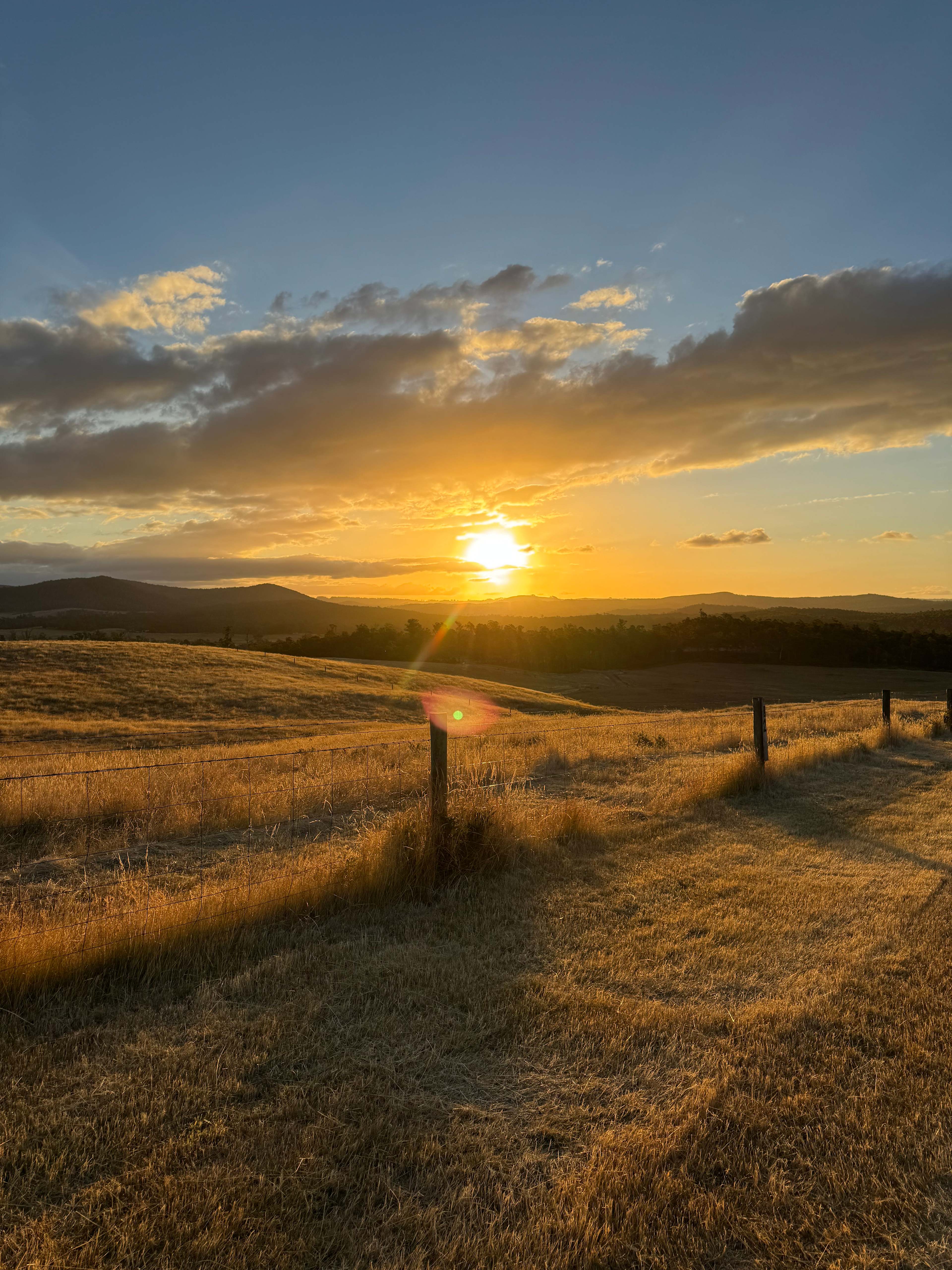 Mabel's Paddock RV Farm Stay