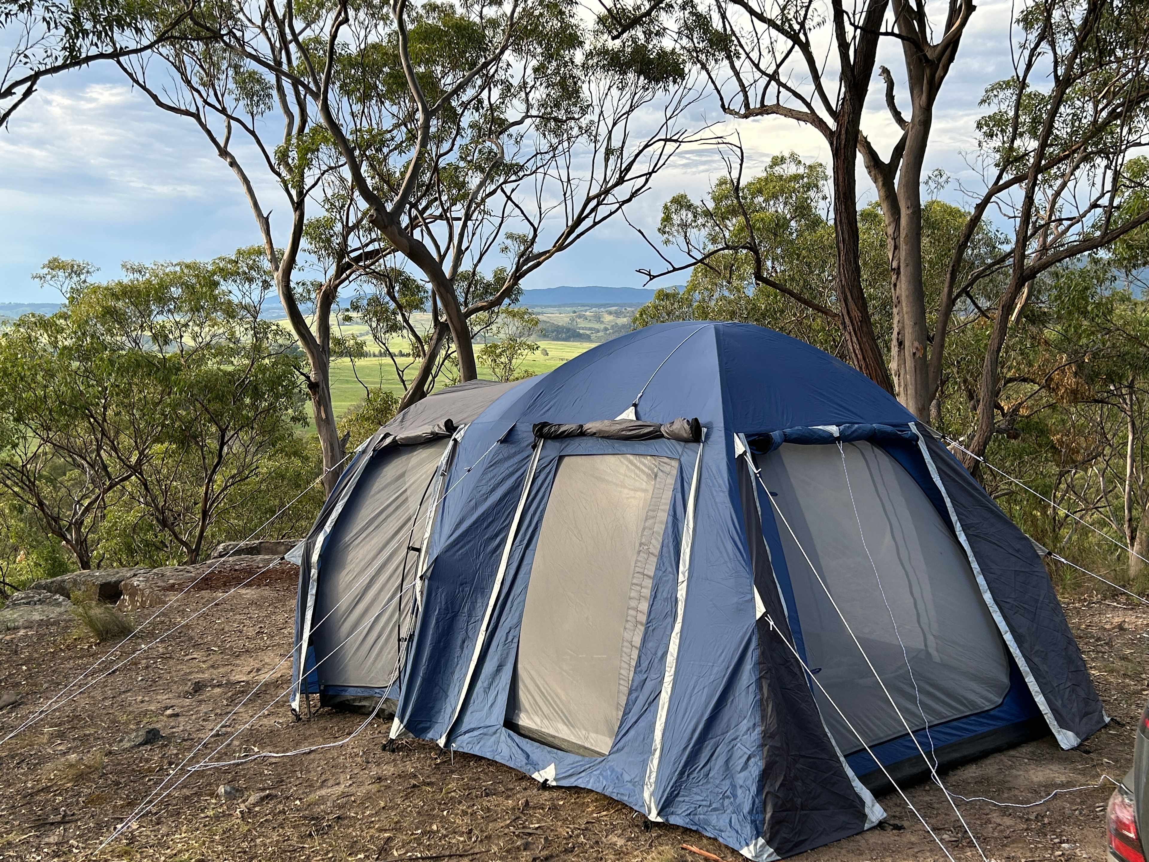 Wildwoods - Private bush surrounds