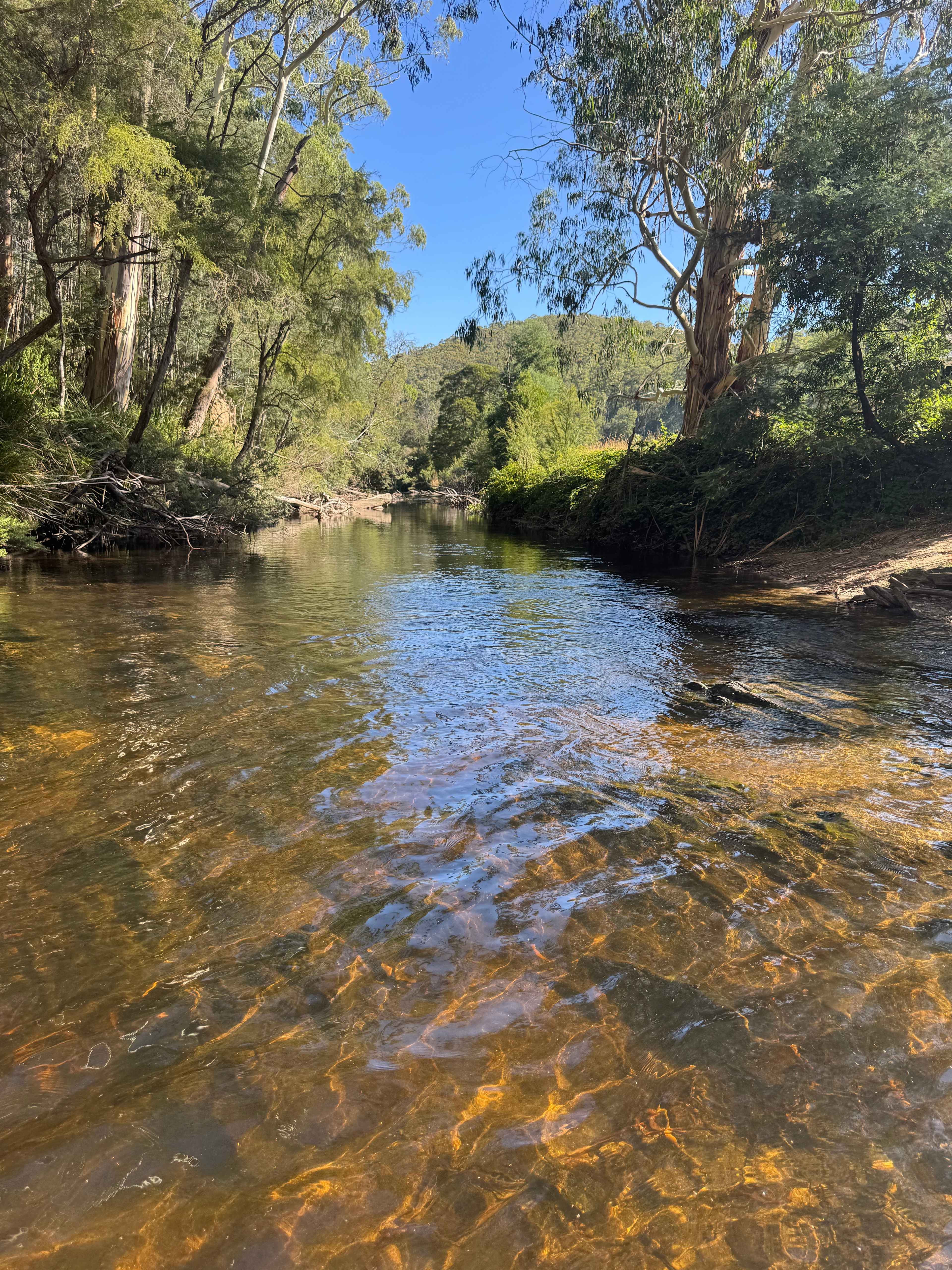 Hazelnut Valley Farm Stay