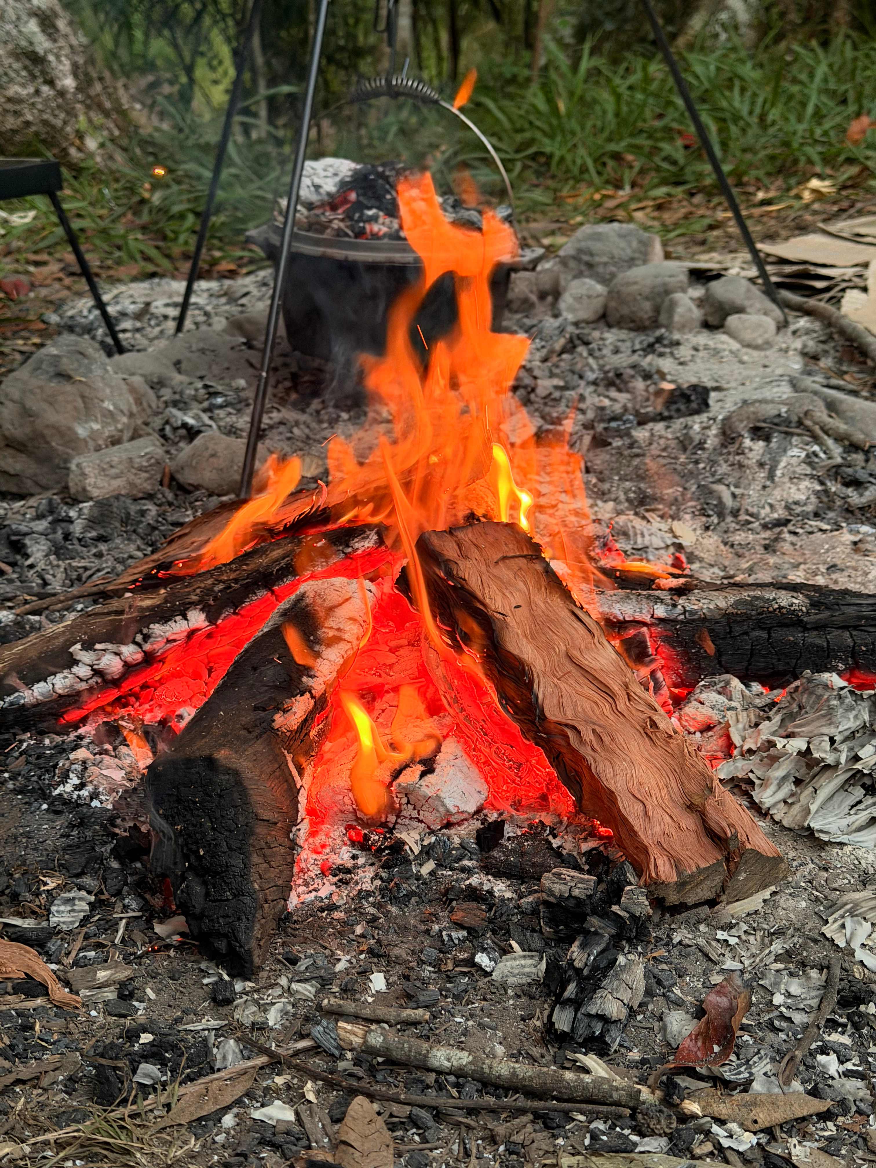 Cedar Waters Regen. Living Hub