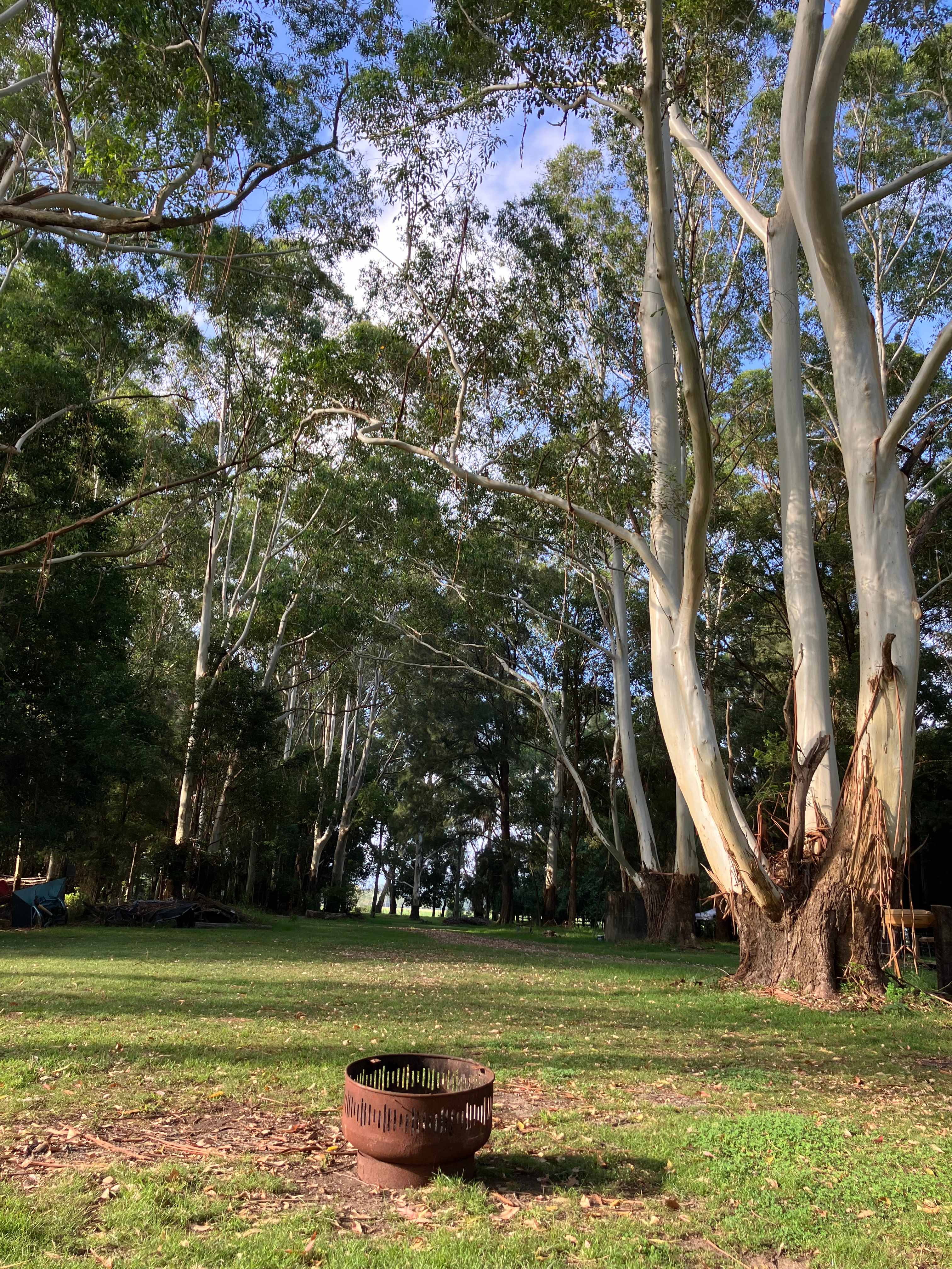 Spacious, private site. Evening spent watching the fire pit and listening to the frogs!