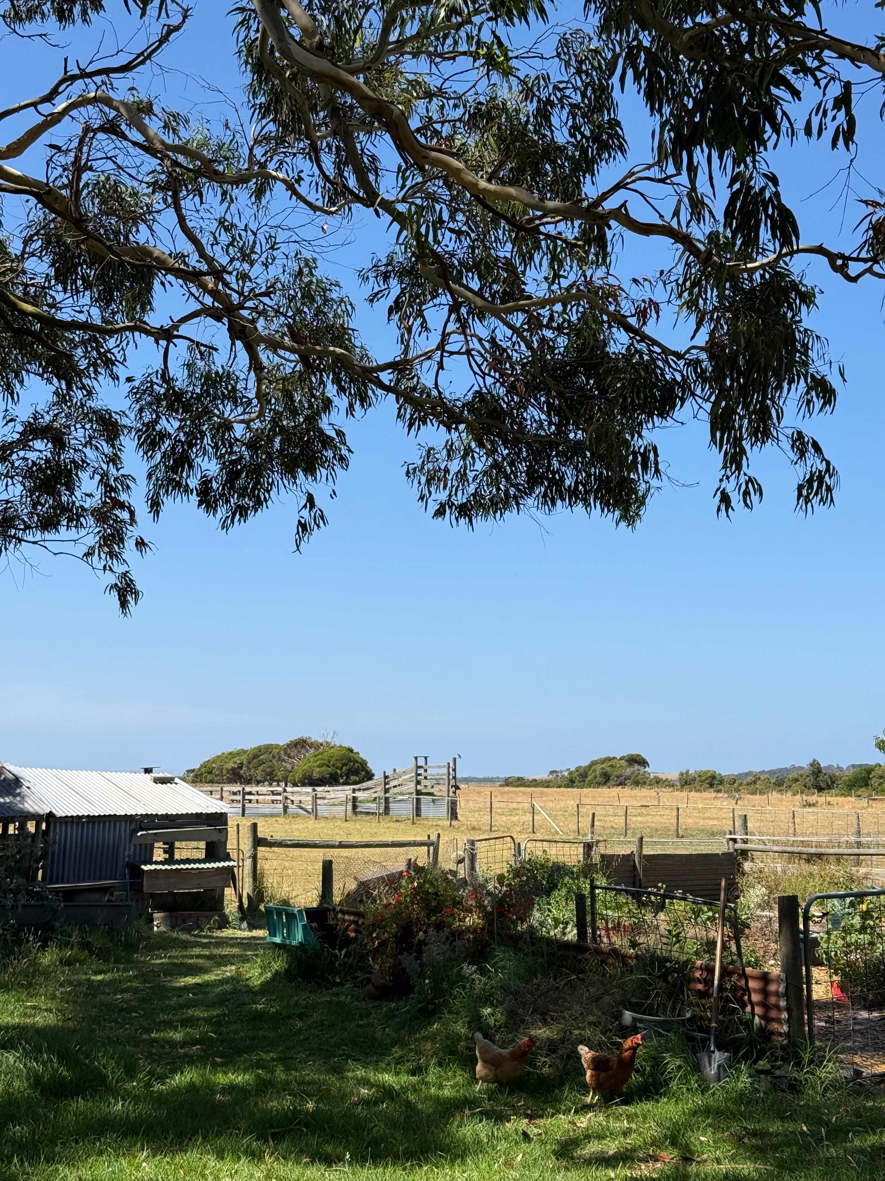 Sandy Point Farm Camp