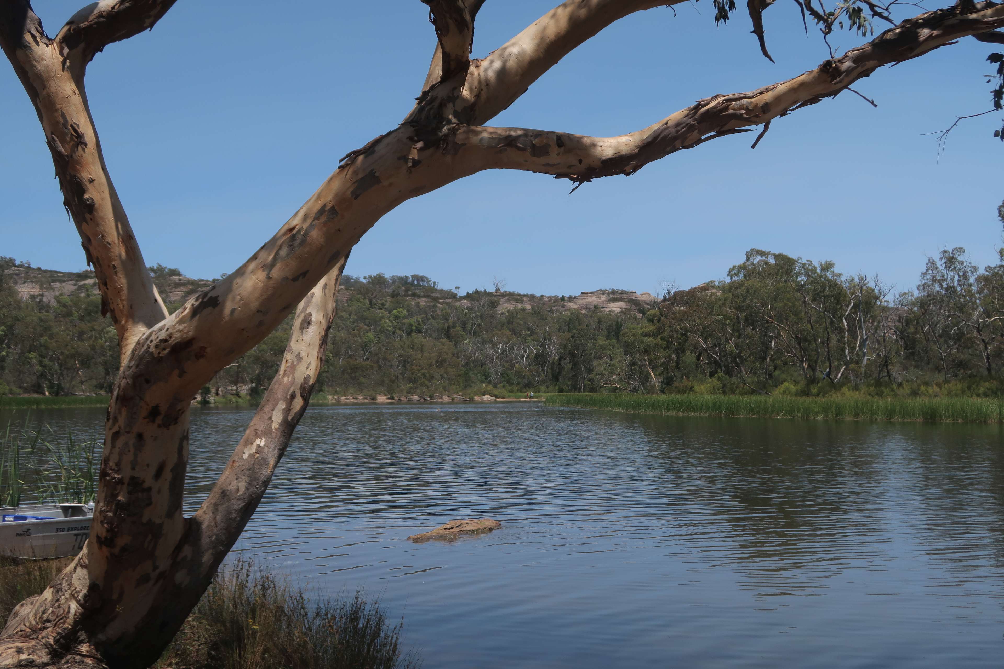 The Wollemi Art Farm