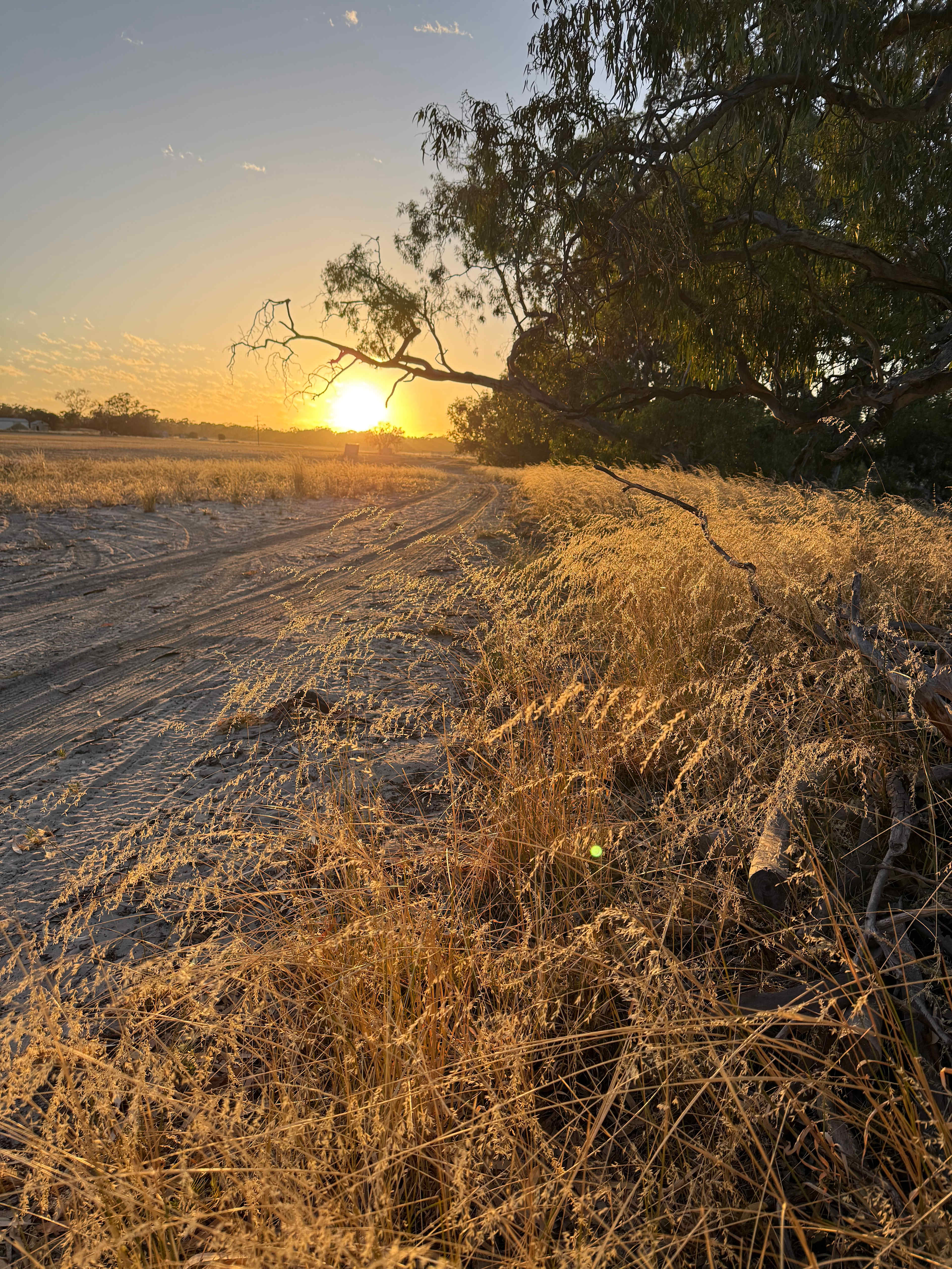 Wimmera River Heights