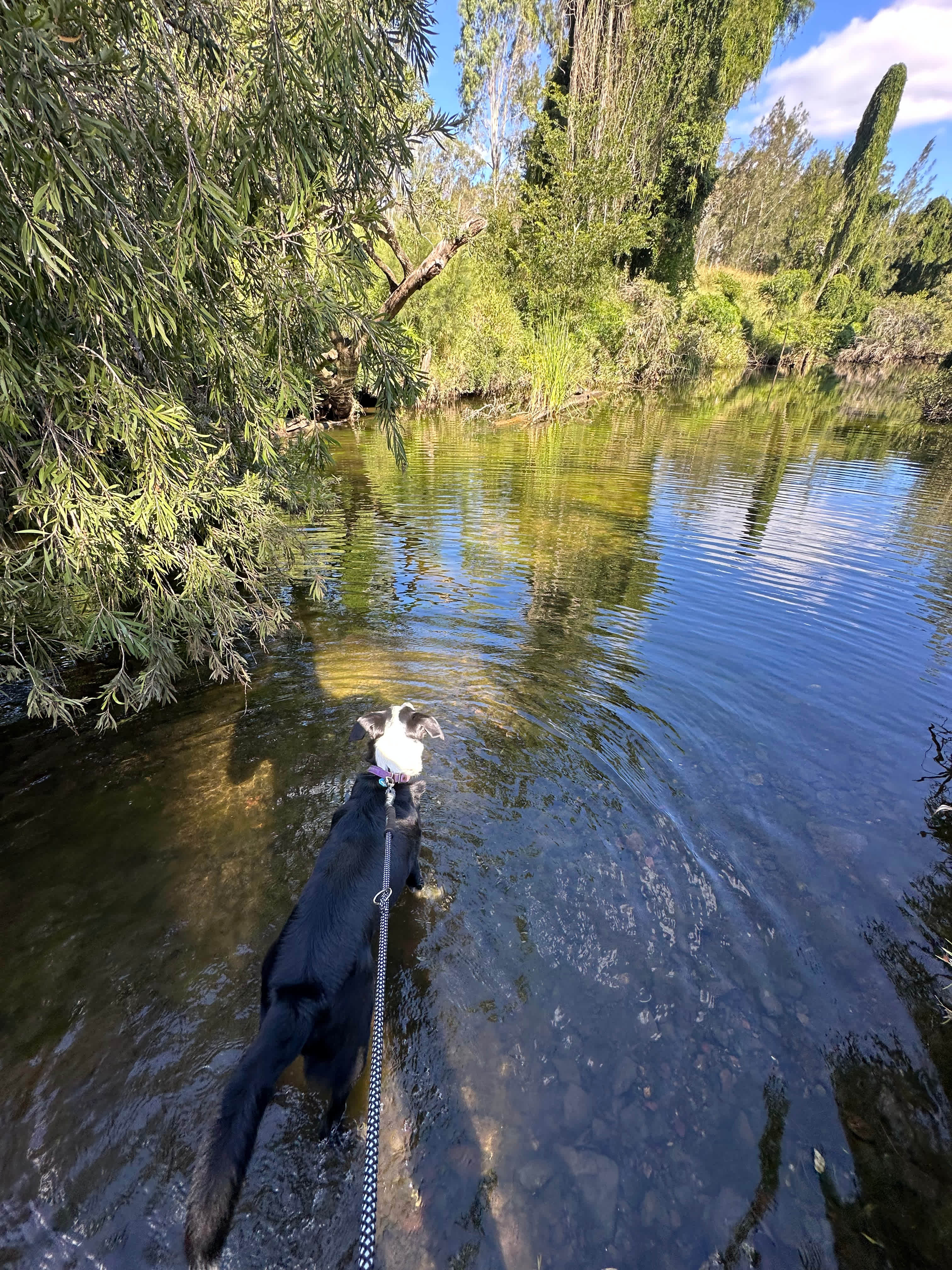 Creekside Camping and Golf