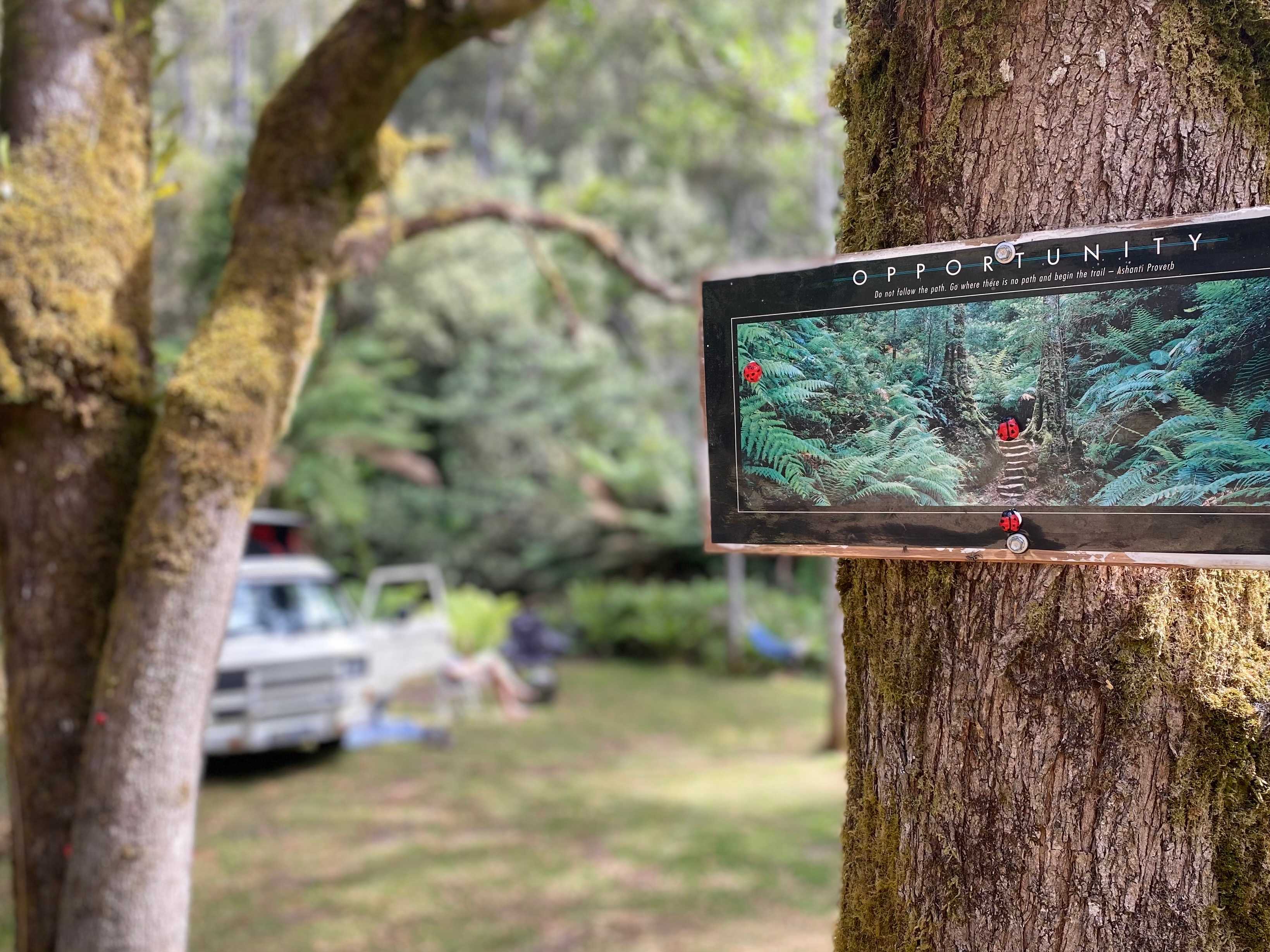 🐞🌿 Ladybug Camping 🌿🐞