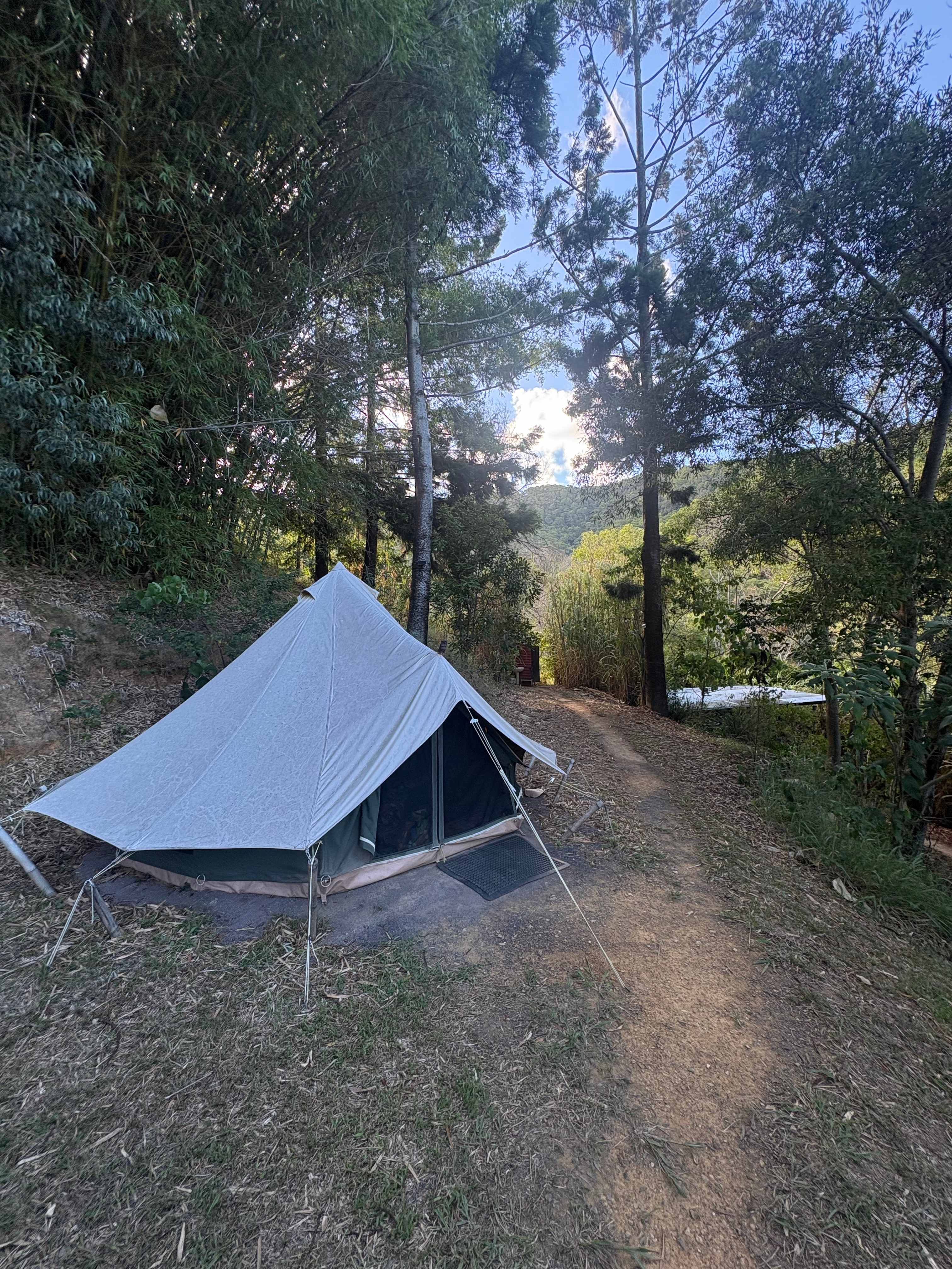 A Tent in The Forest