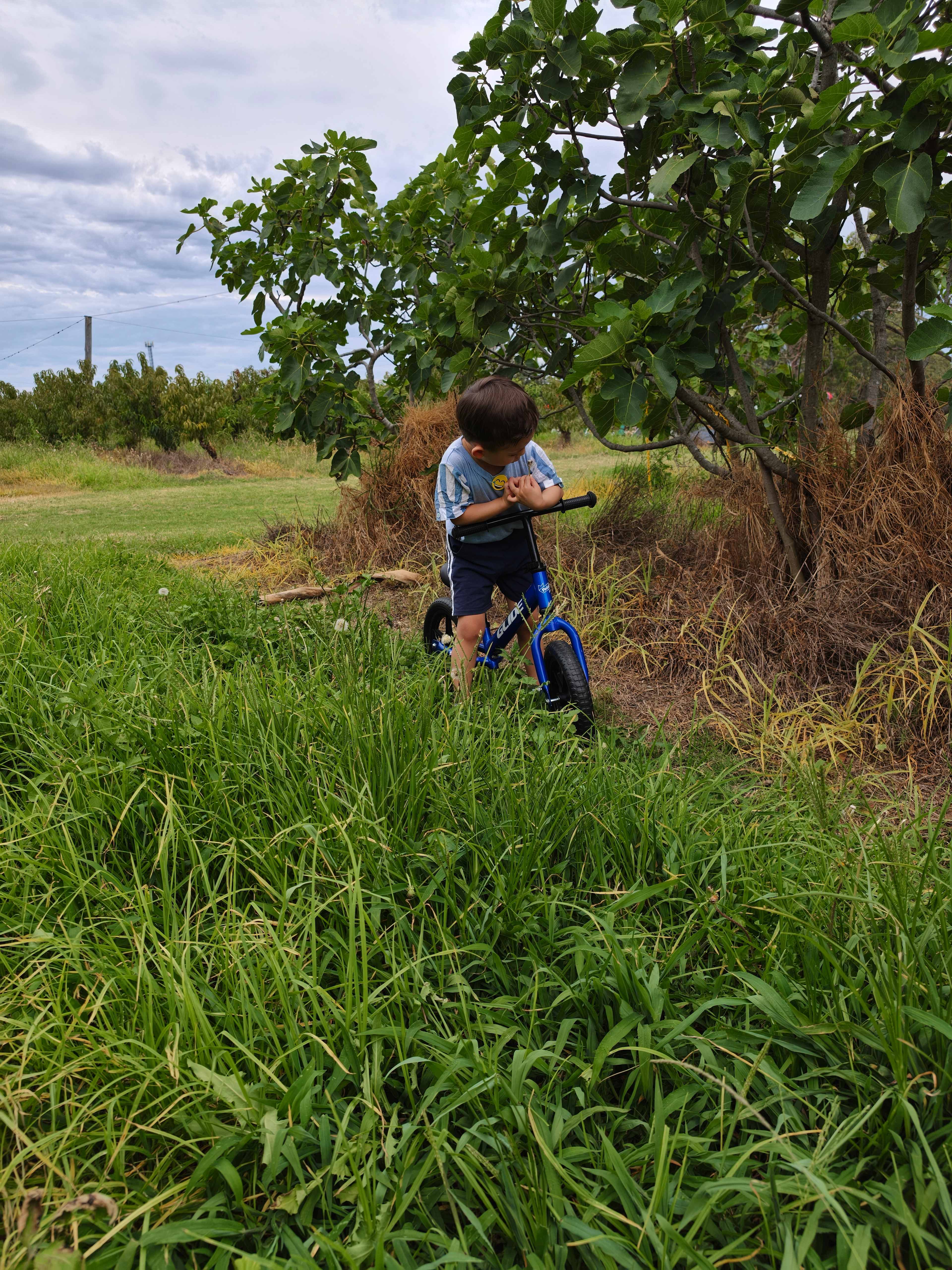 Canoelands Orchard Camping
