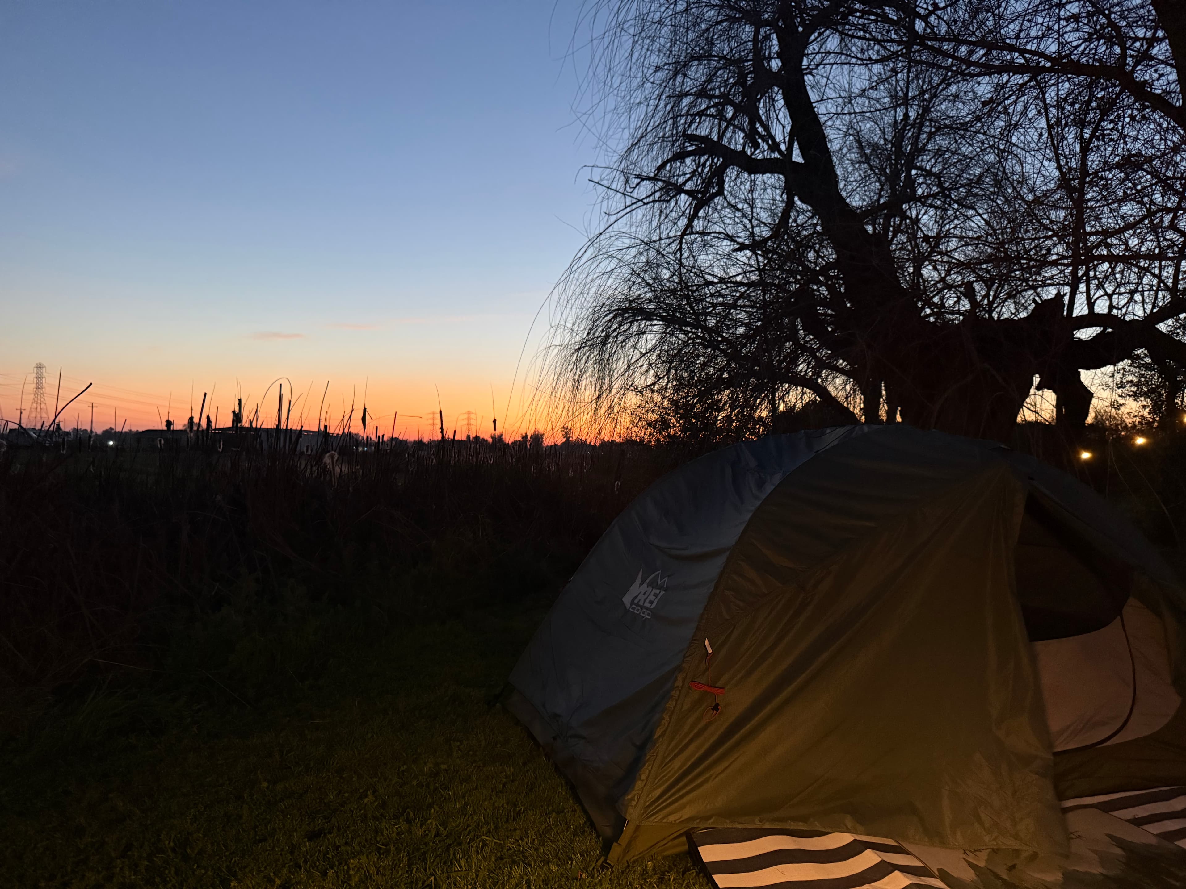 The Foxes  Family Farm