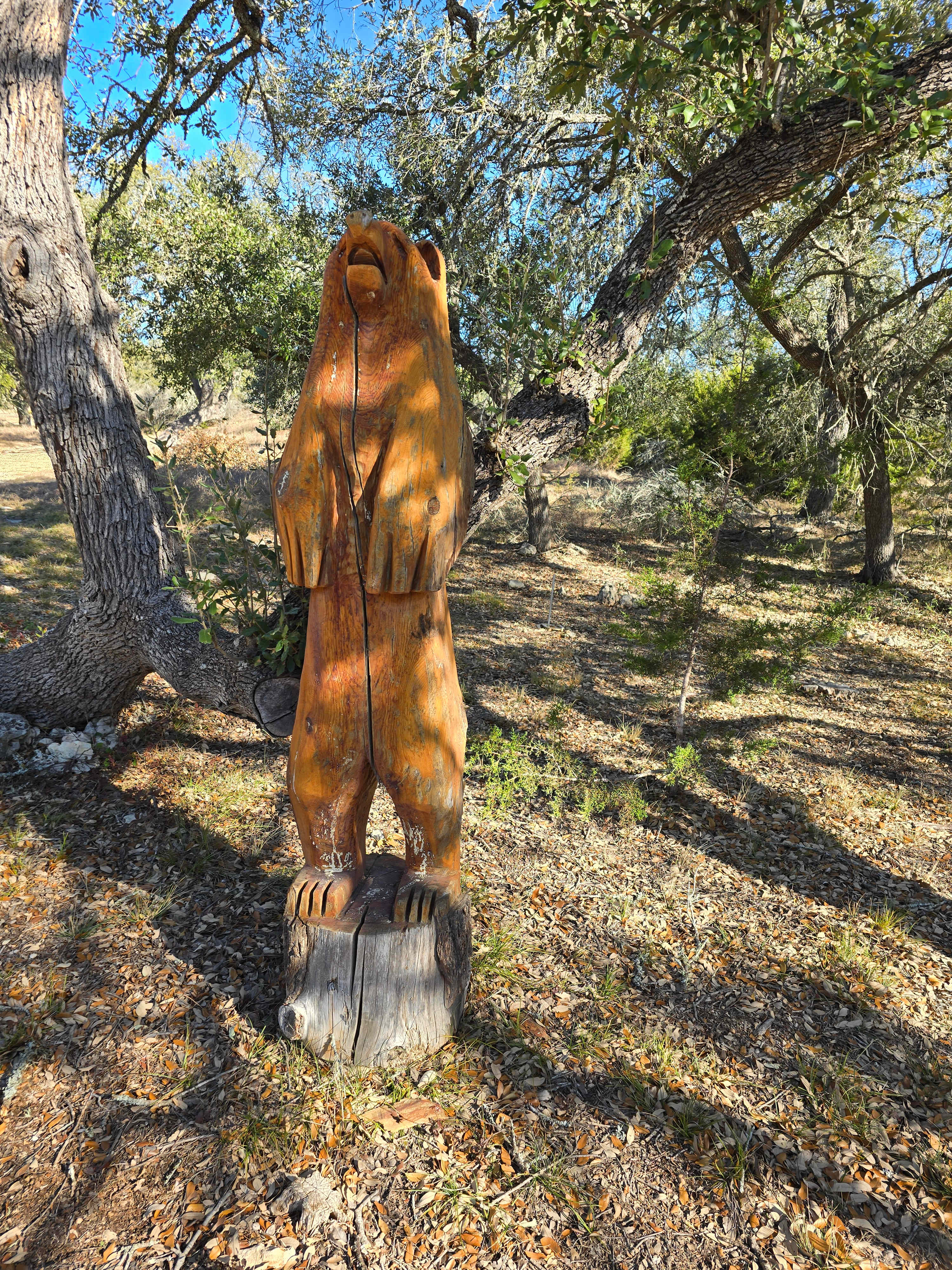 Wimberley Valley Camping