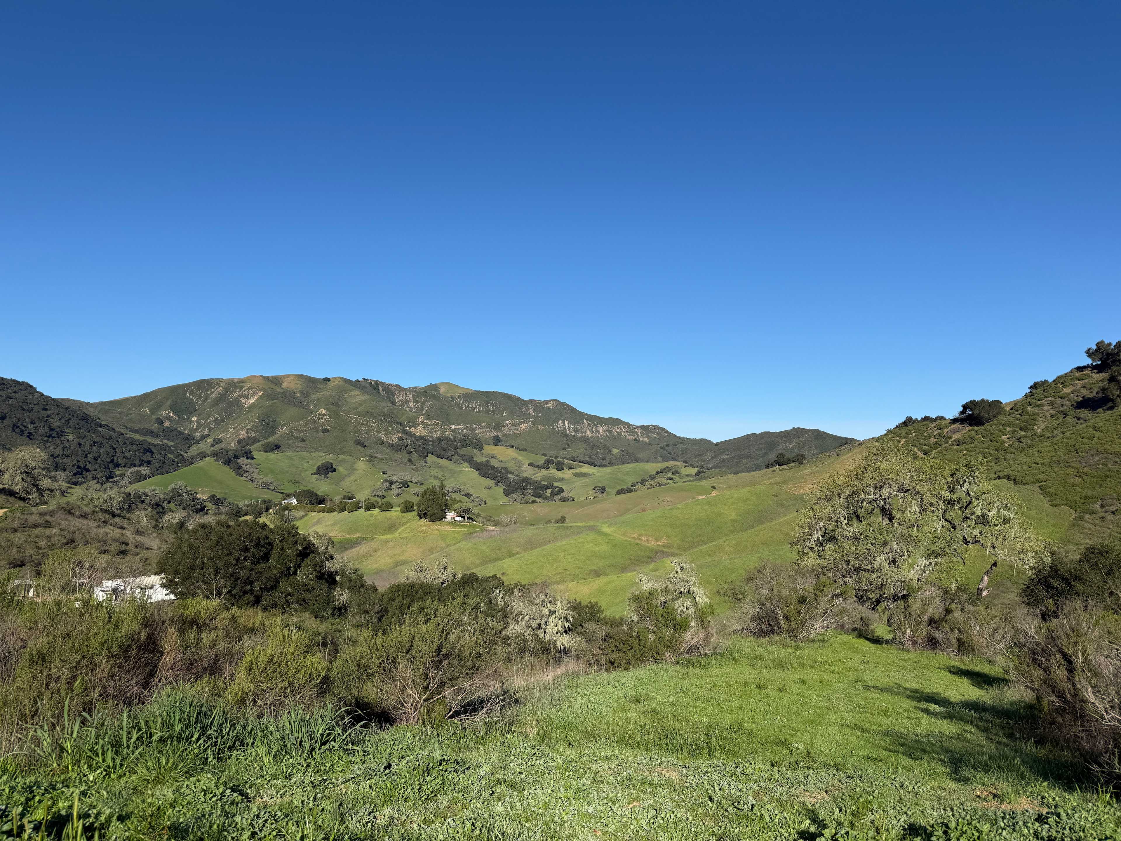 Freedog Farms @ Cactus Flower Ranch