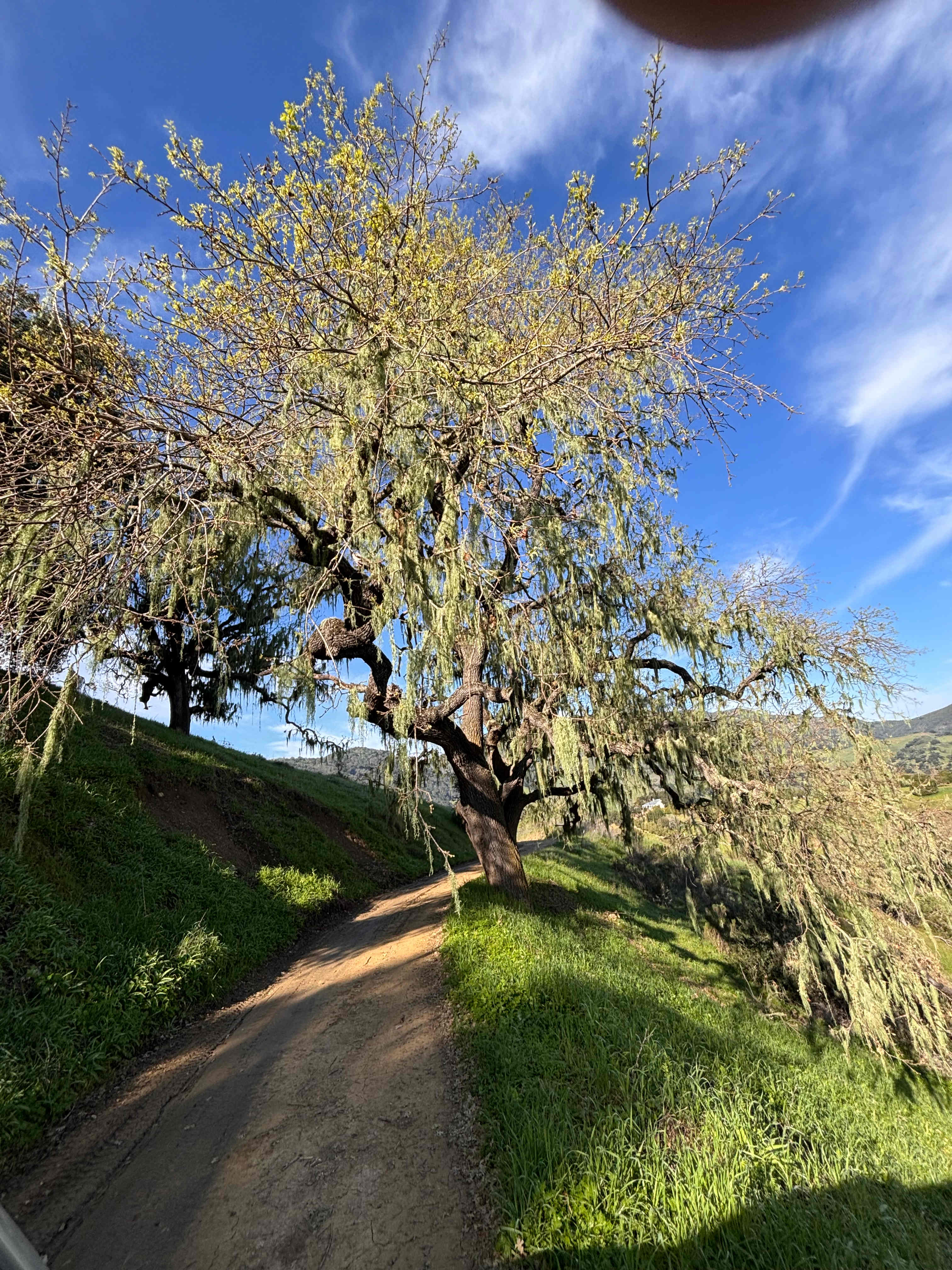 Freedog Farms @ Cactus Flower Ranch