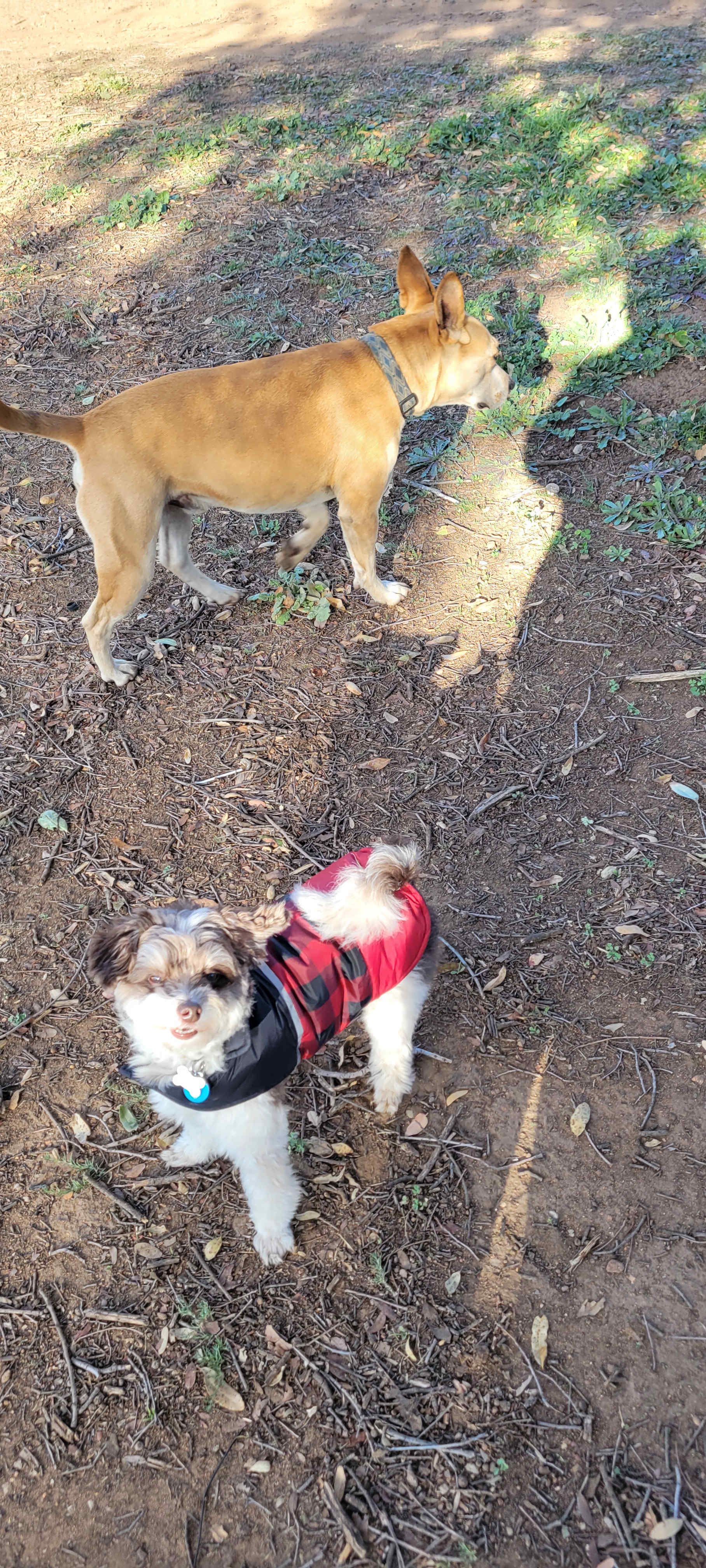 GoodVibes Ranch Disc Golf & Camping