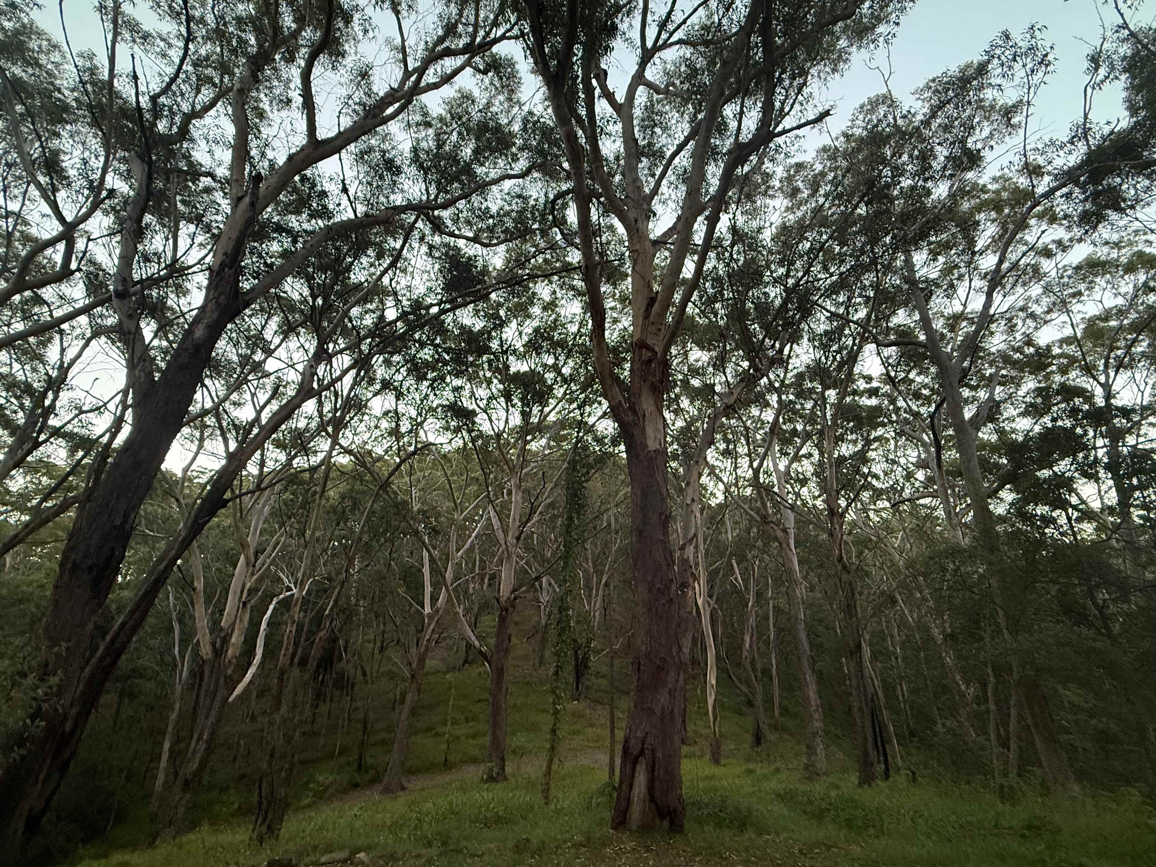 Cabarita Beach Station