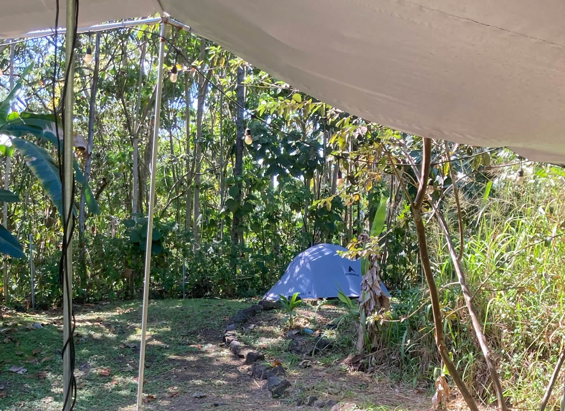 Farm to Table Hawaii