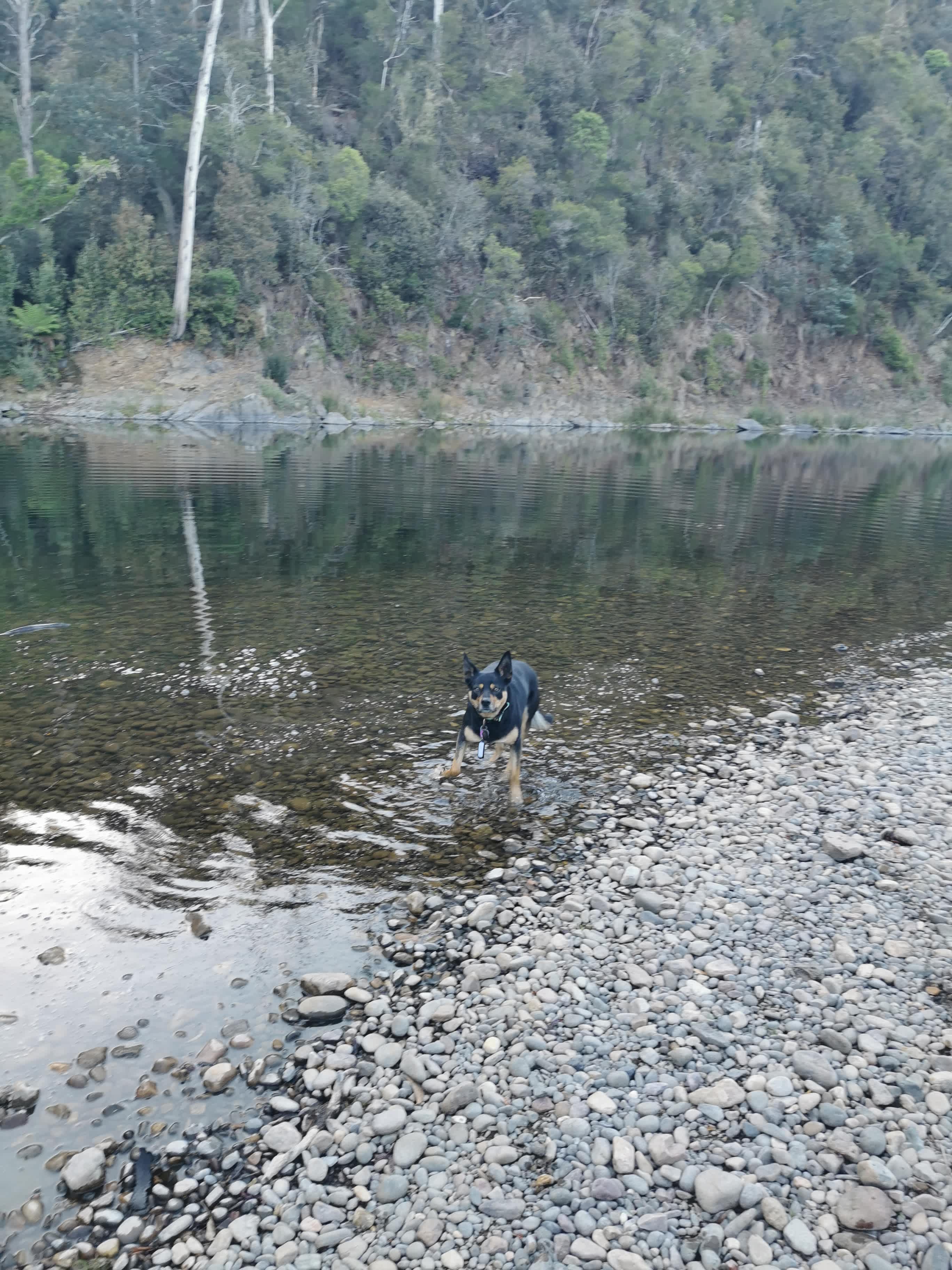 Stooge Farm Wilderness Retreat