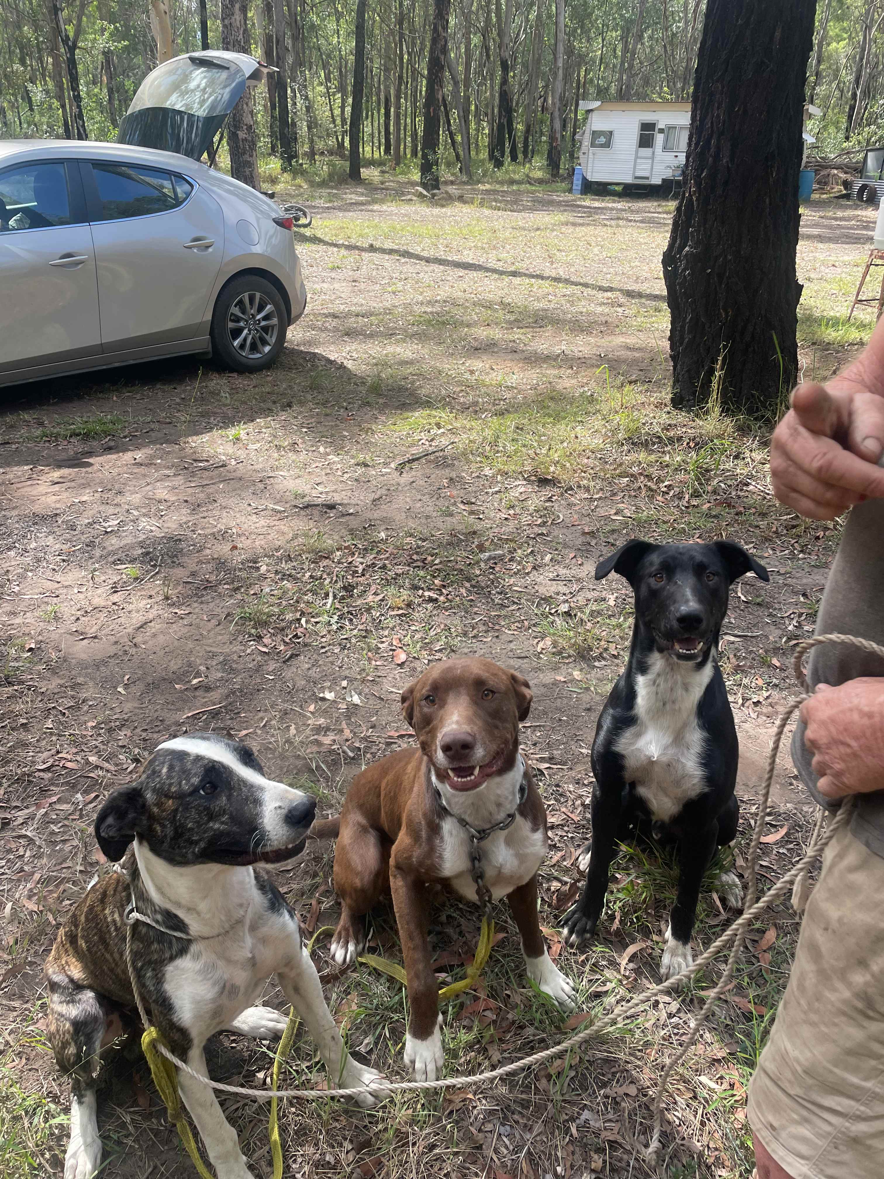 Shark Creek intheBush Camp