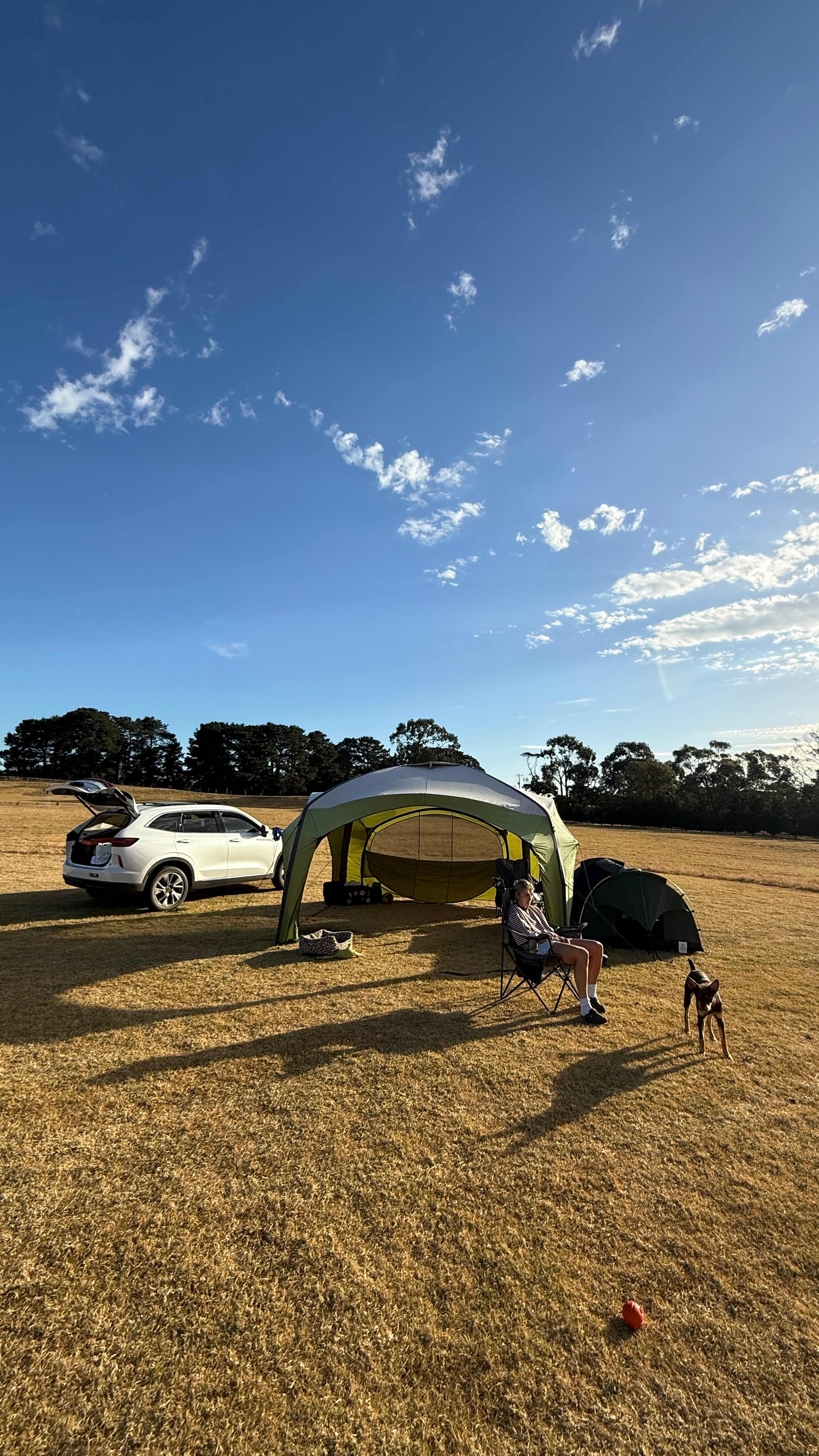 Shacks at Kardella Park