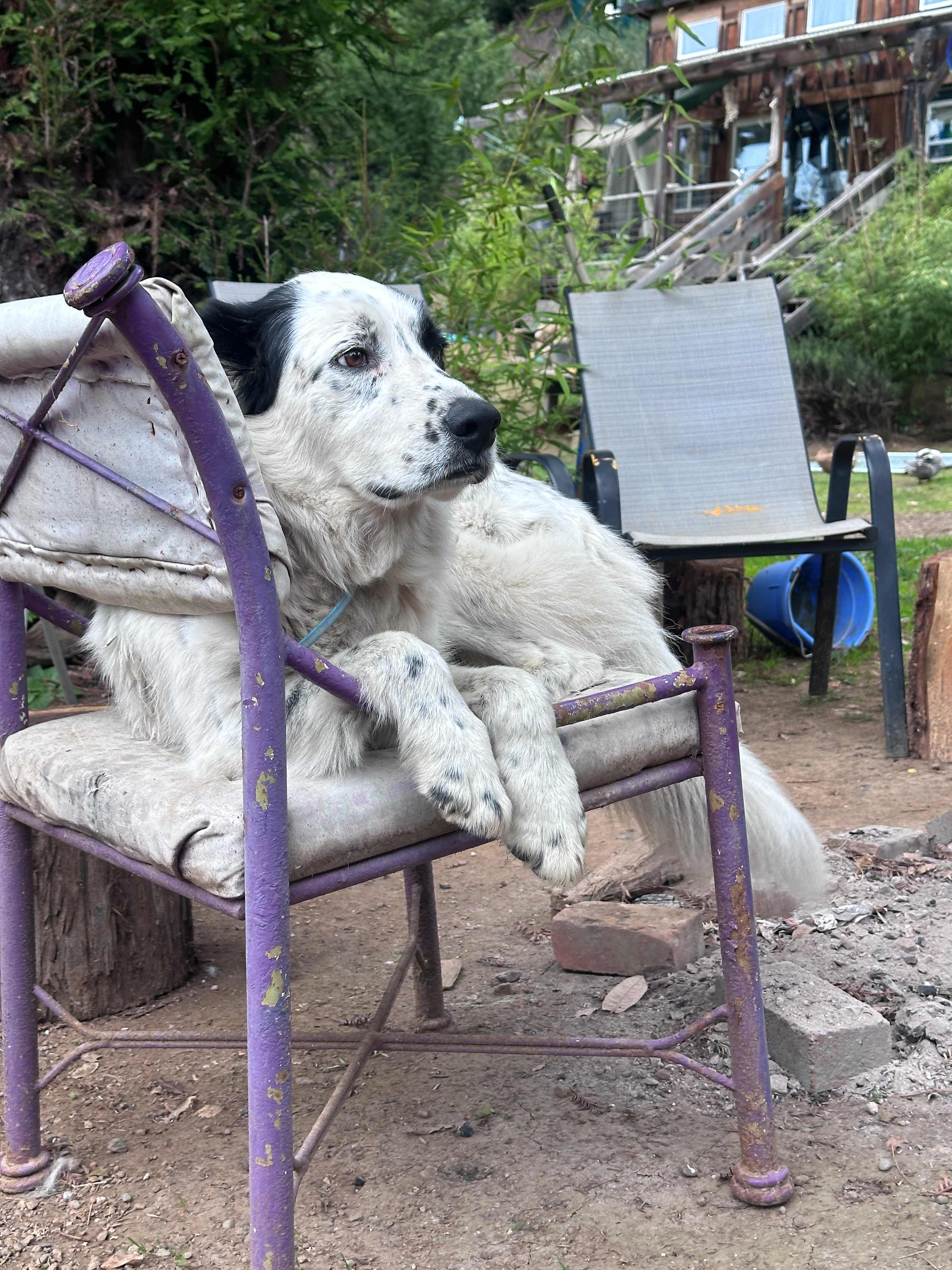 Comptche Matrix @ Sunny-land