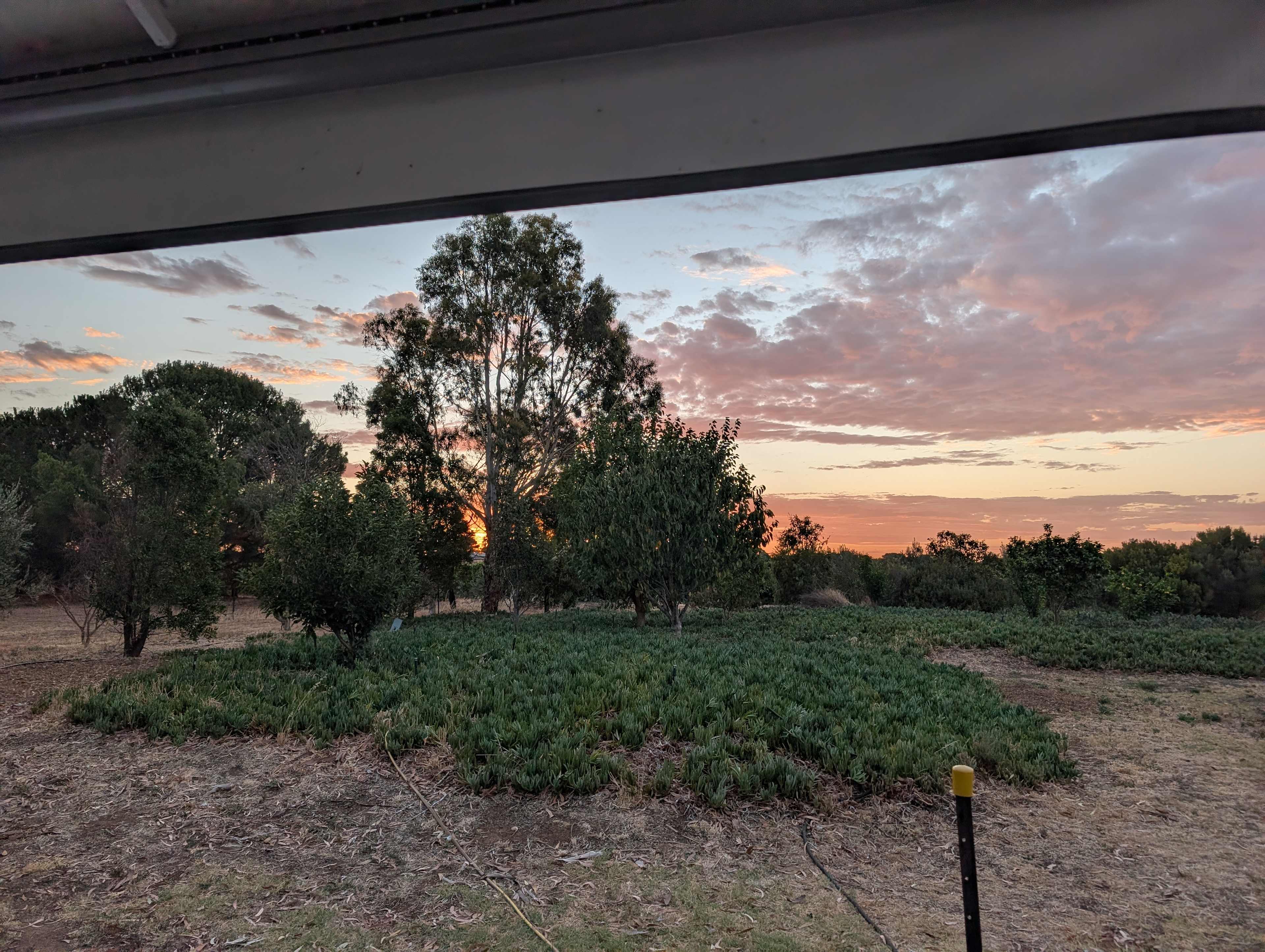 Six Strings - McLaren Vale Vineyard