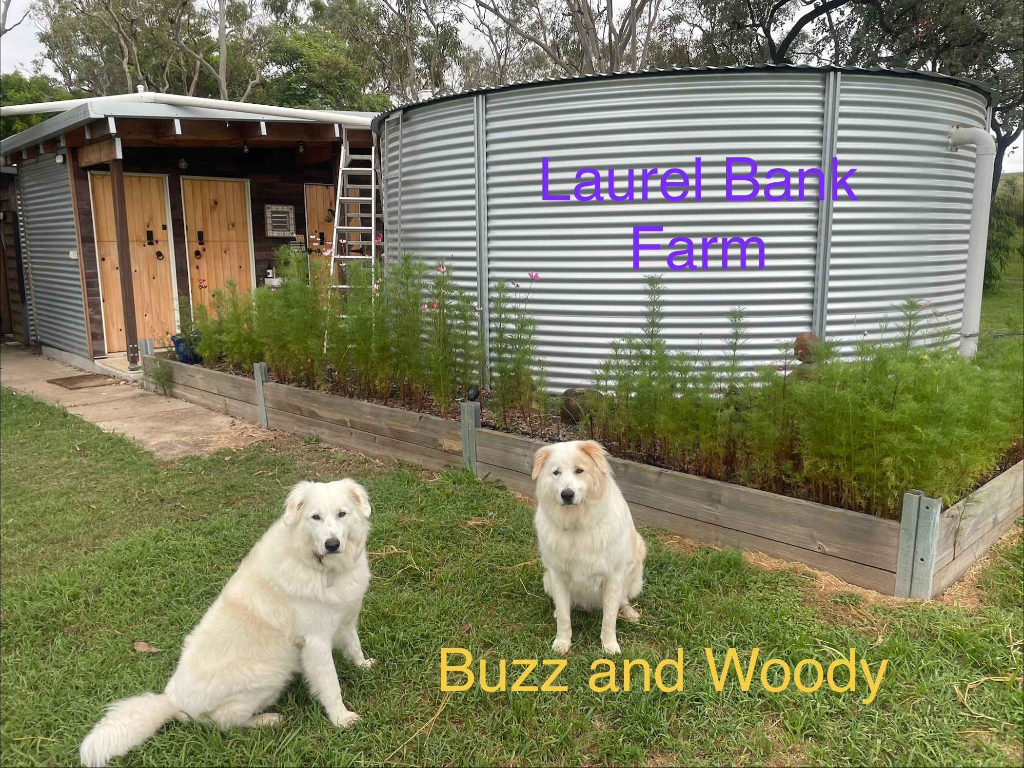 Laurel Bank Farm laurel-bank.com.au
