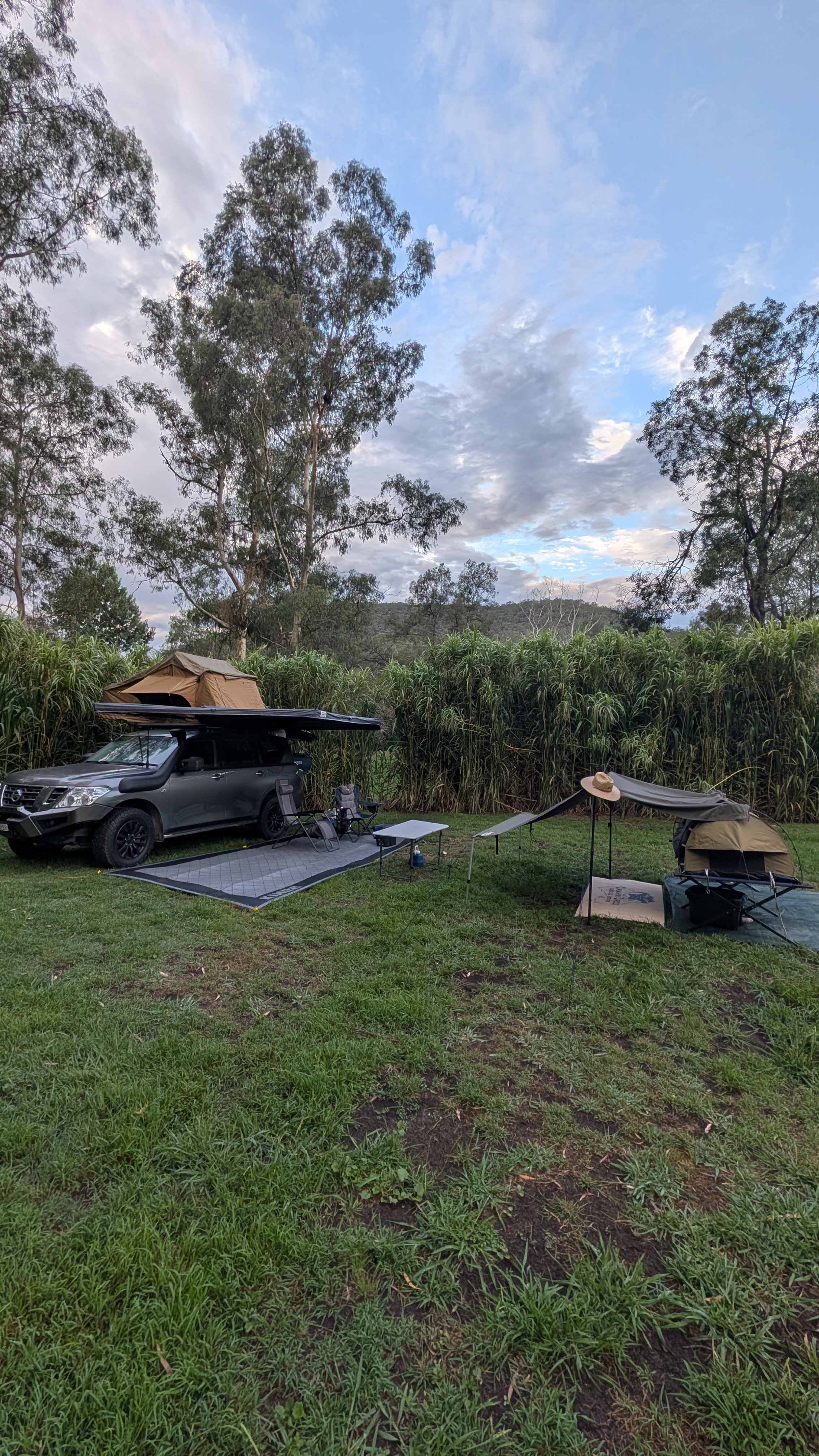 Whispering Gums Colo River Camping