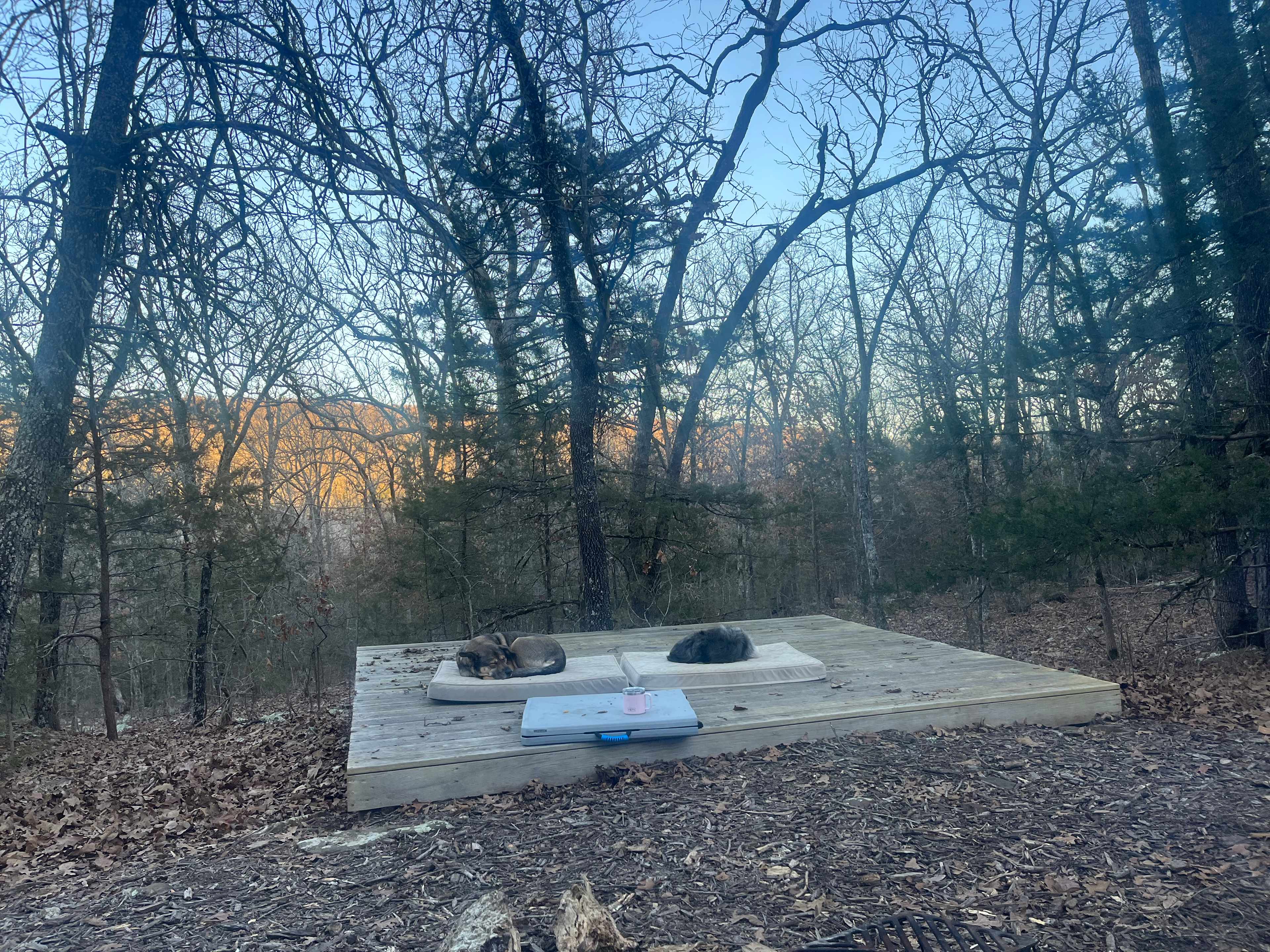 Lake Wilson Retreat 🌲