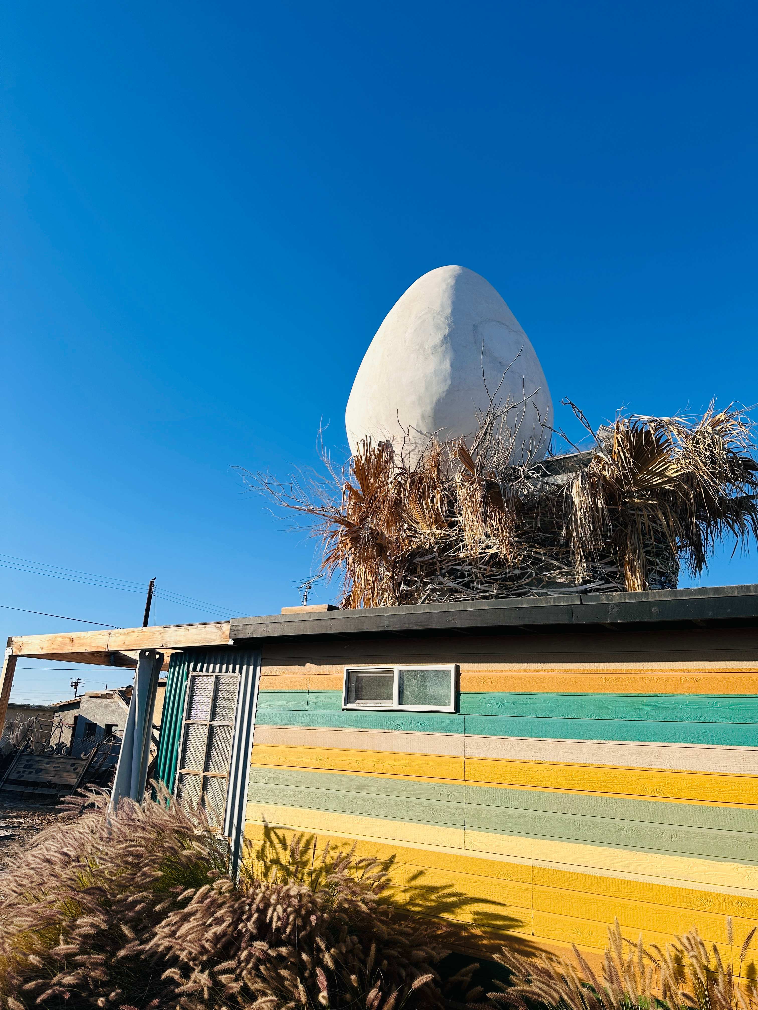 The very helpful egg and nest